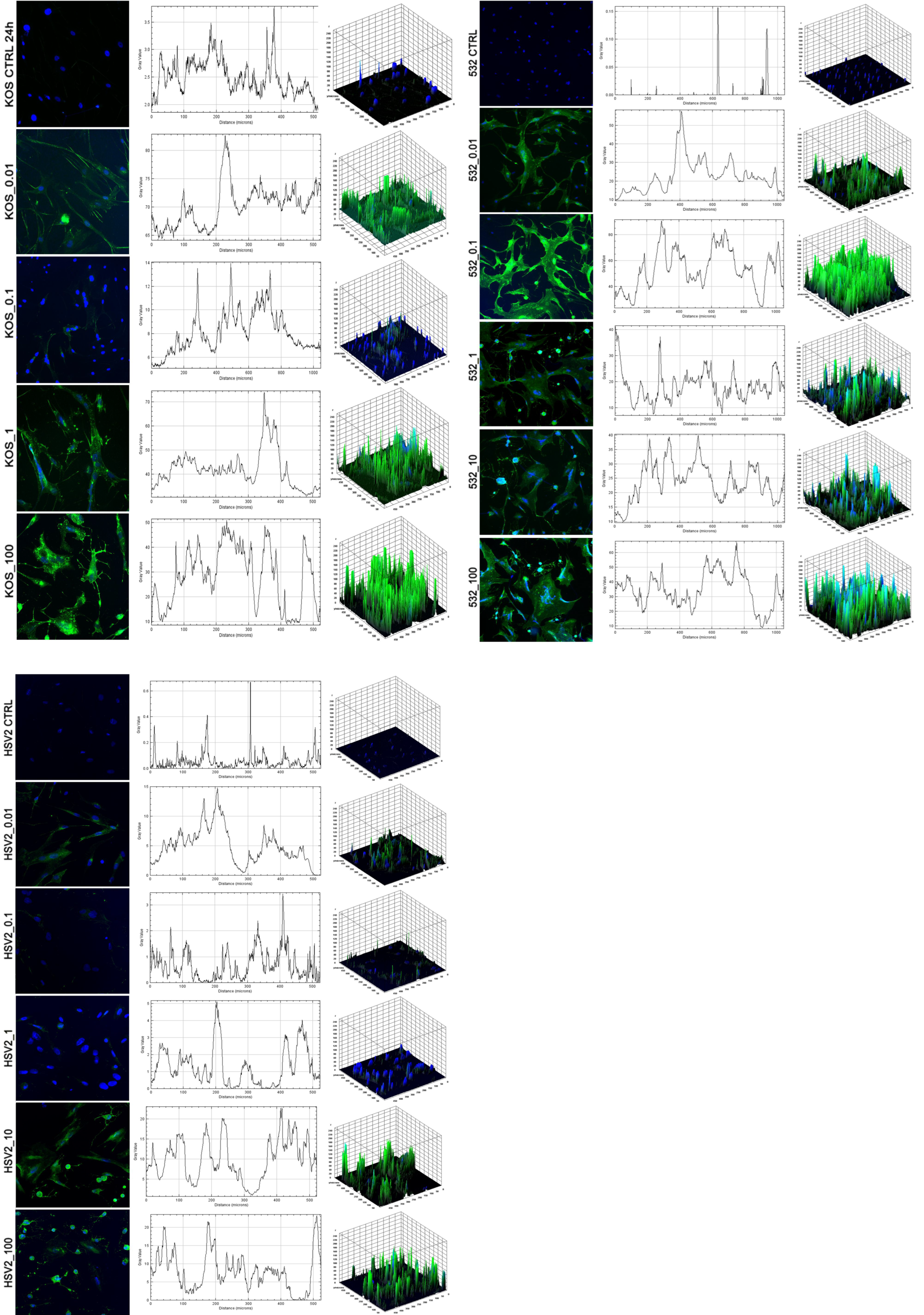 Ijms 24 11989 g006 Ijms 24 11989 g006