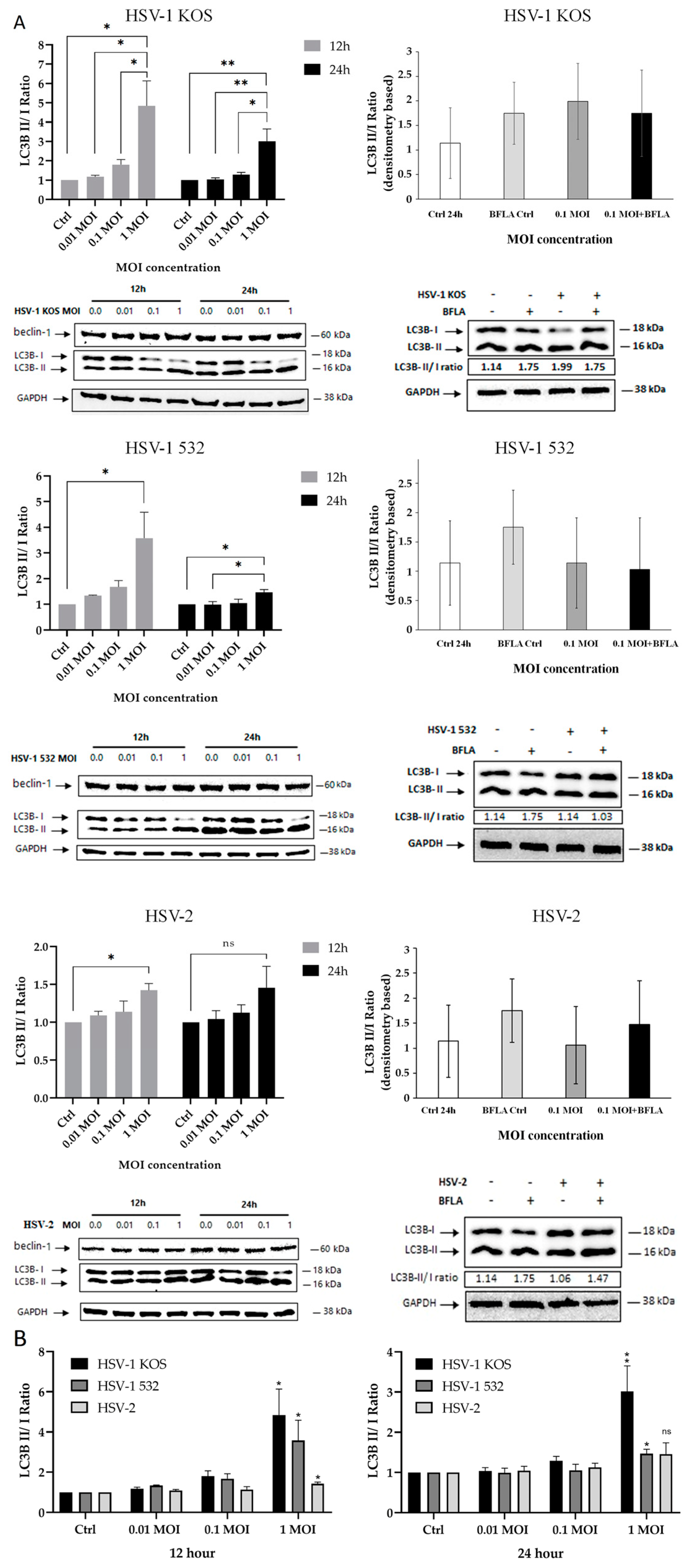 Ijms 24 11989 g007 Ijms 24 11989 g007