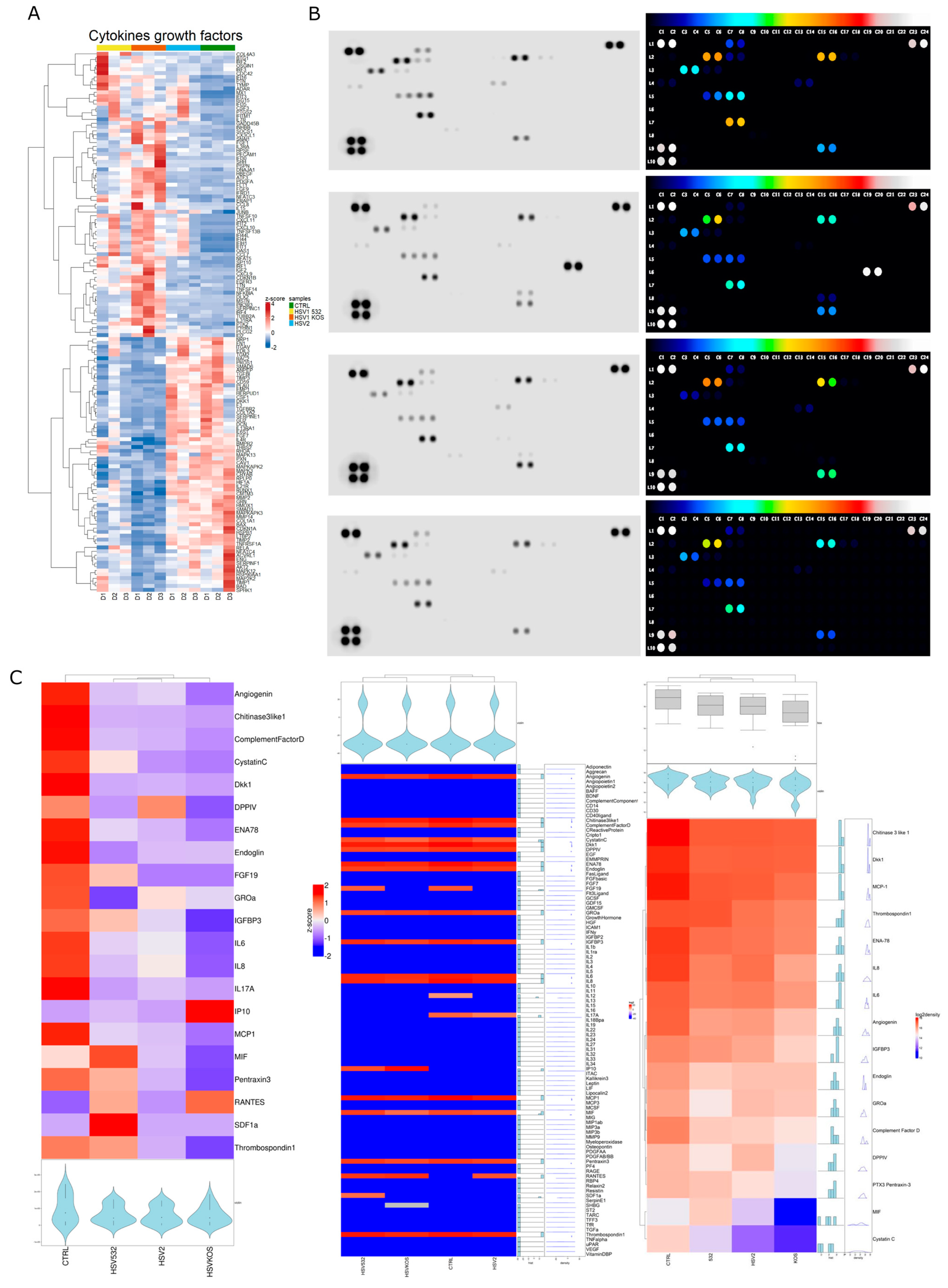 Ijms 24 11989 g008a Ijms 24 11989 g008a