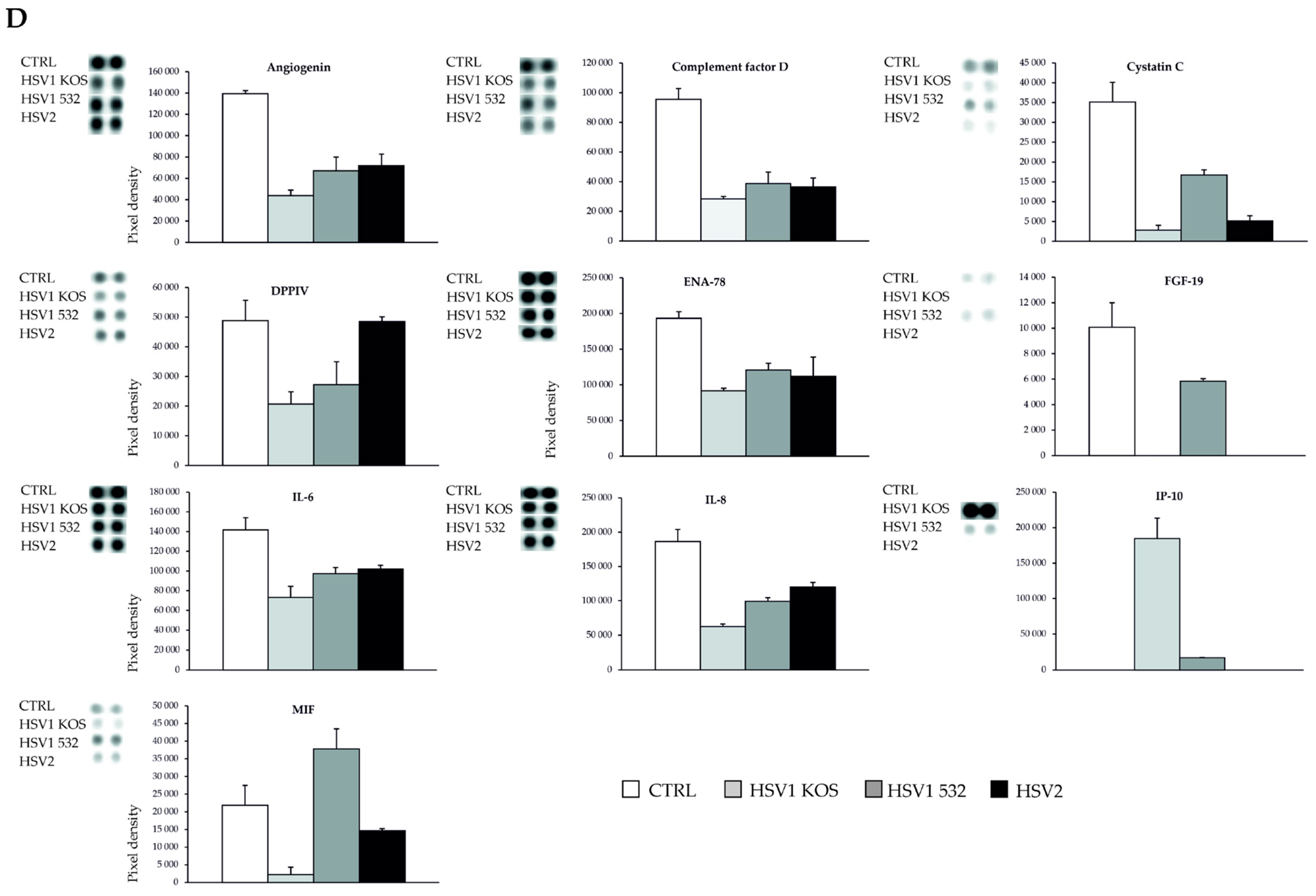Ijms 24 11989 g008b Ijms 24 11989 g008b