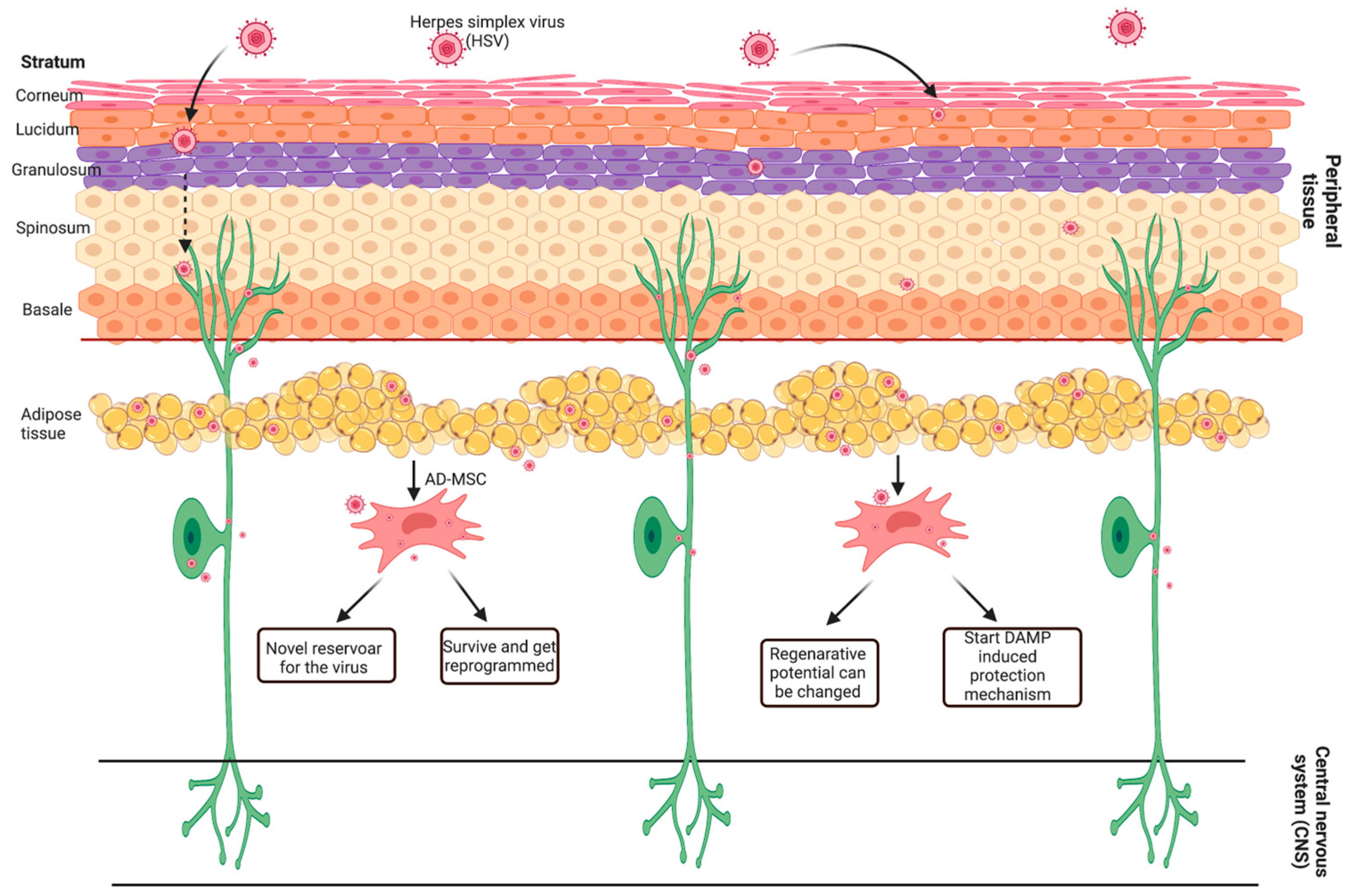 Ijms 24 11989 g010 Ijms 24 11989 g010