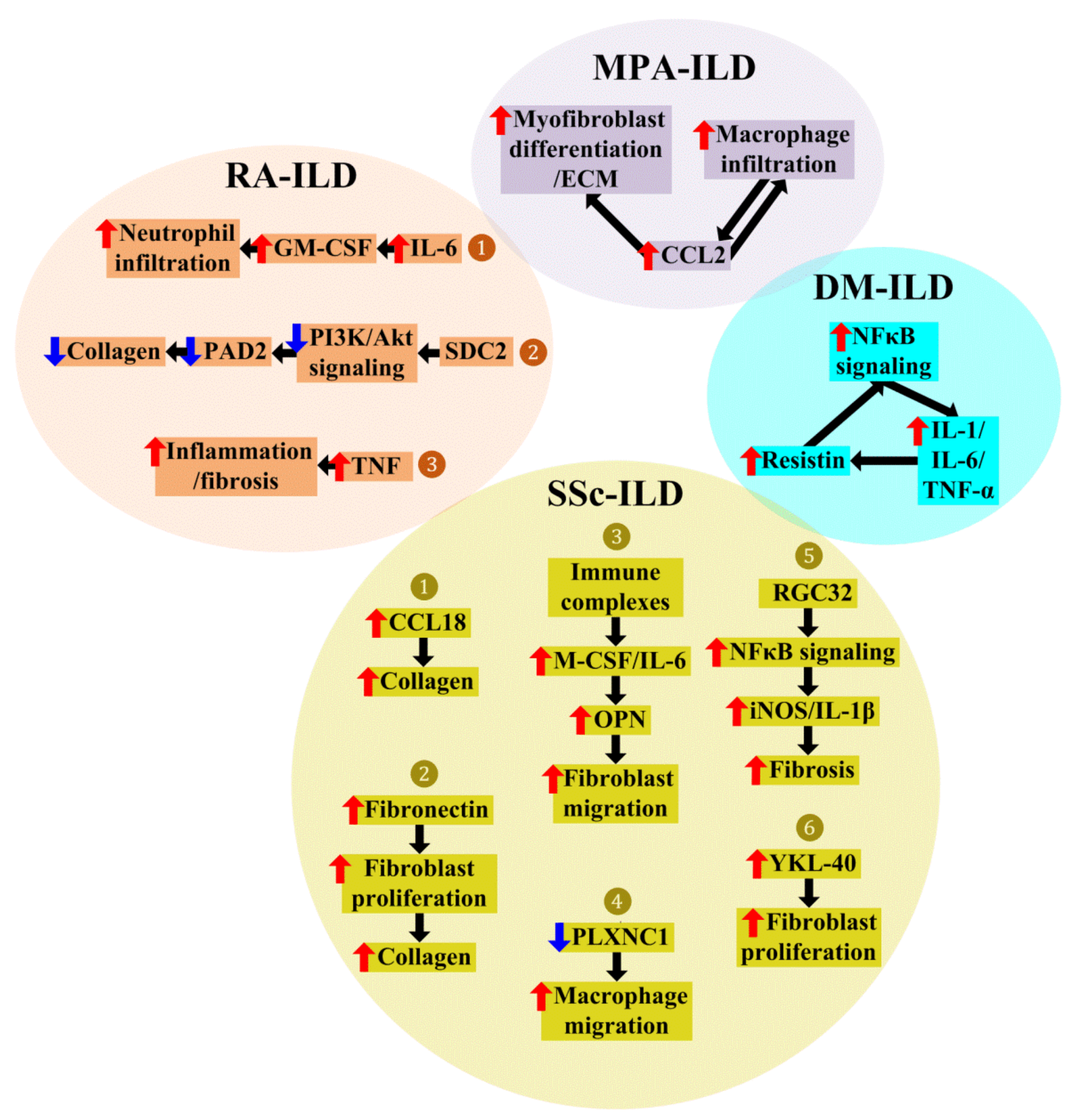 Ijms 24 11995 g002 Ijms 24 11995 g002