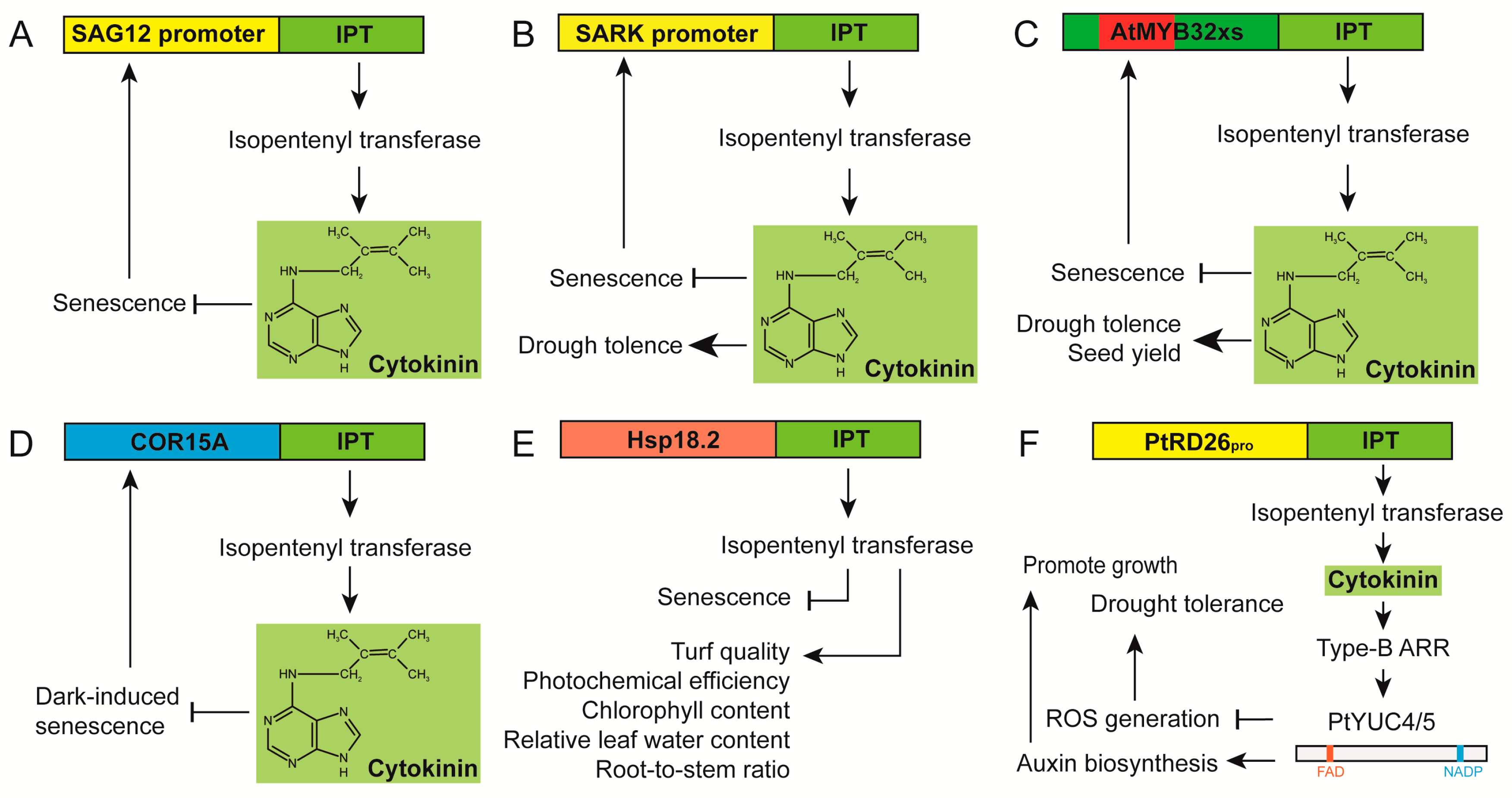 Ijms 24 11996 g001 Ijms 24 11996 g001