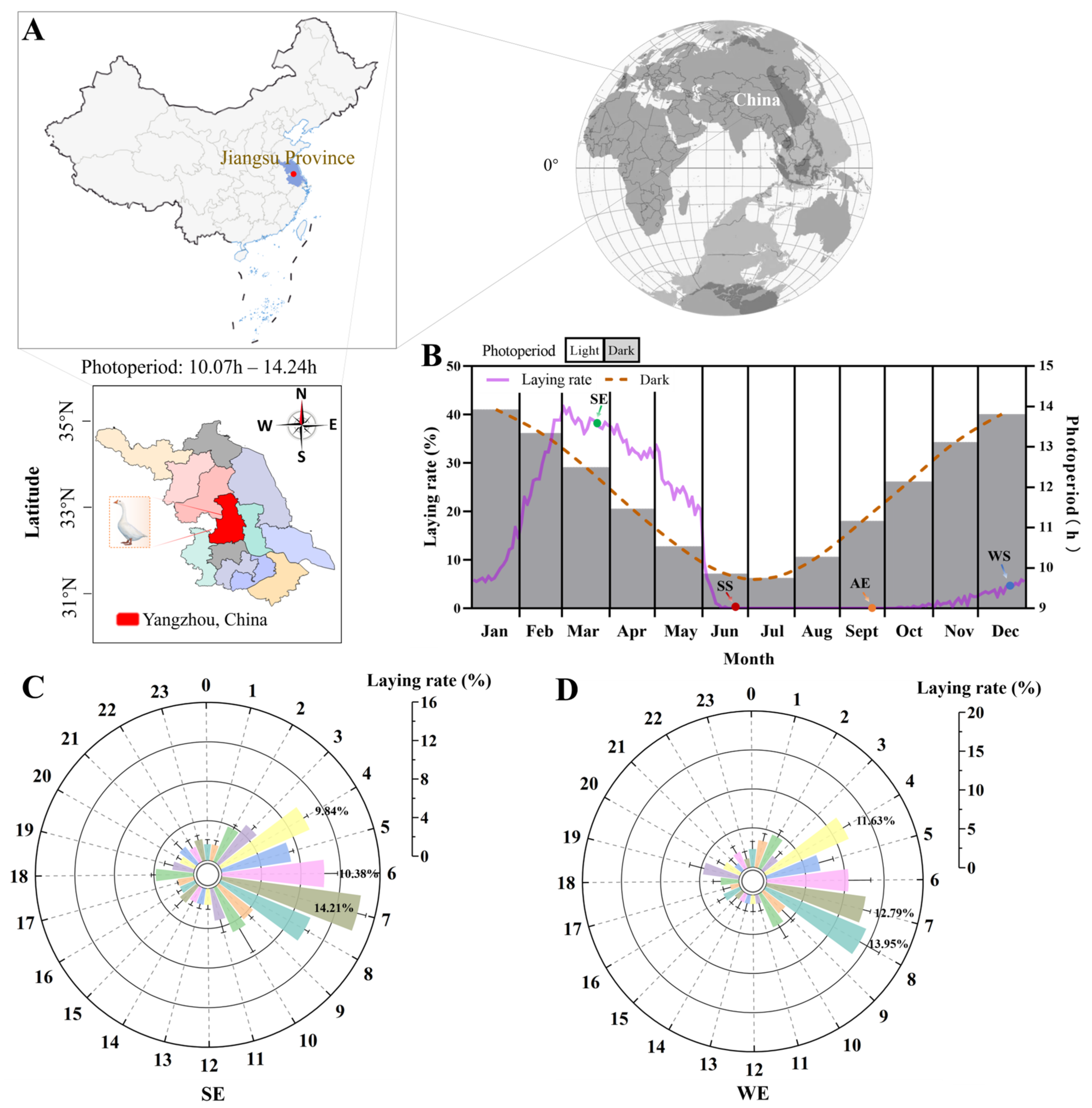 Ijms 24 11998 g001 Ijms 24 11998 g001