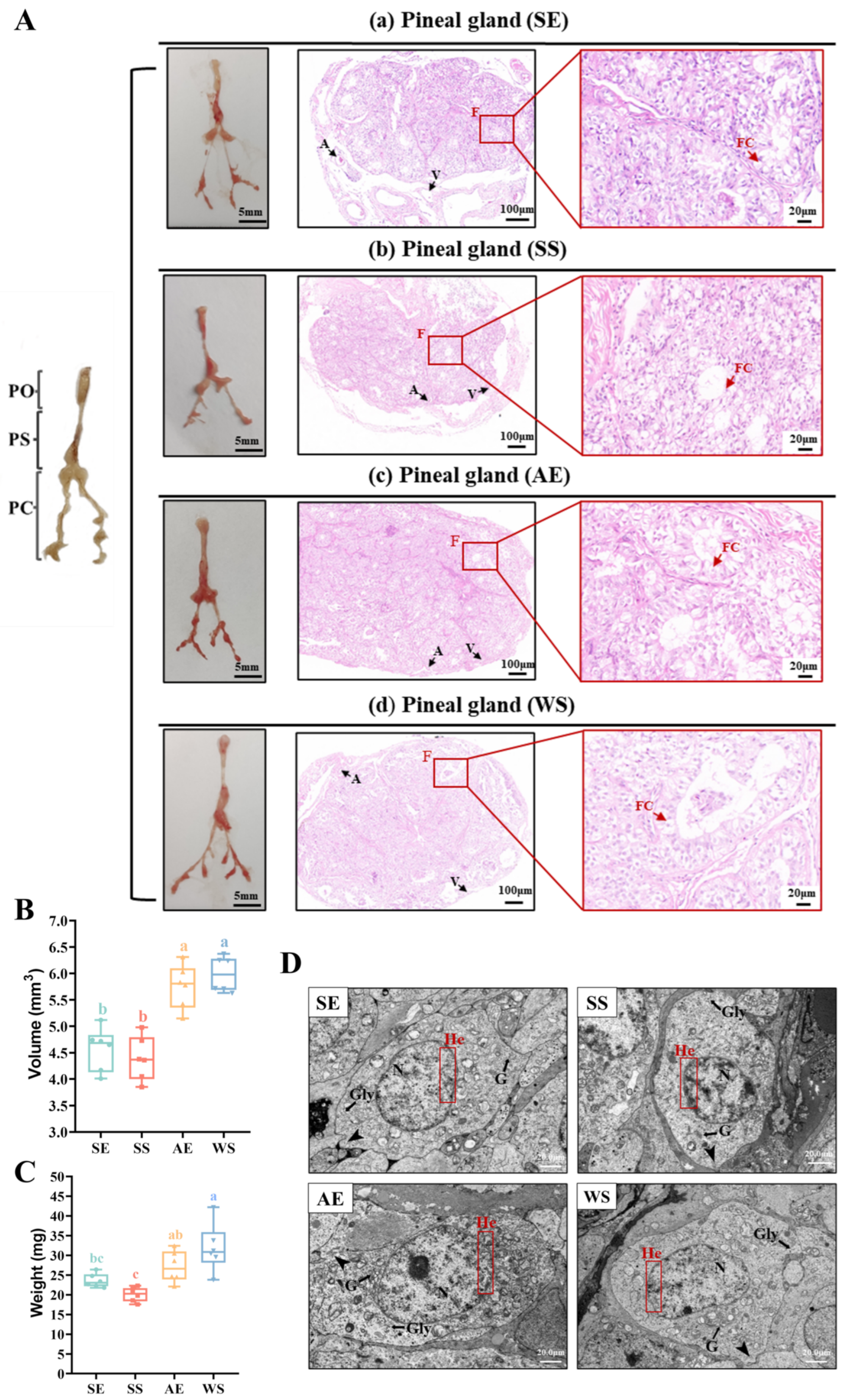Ijms 24 11998 g003 Ijms 24 11998 g003