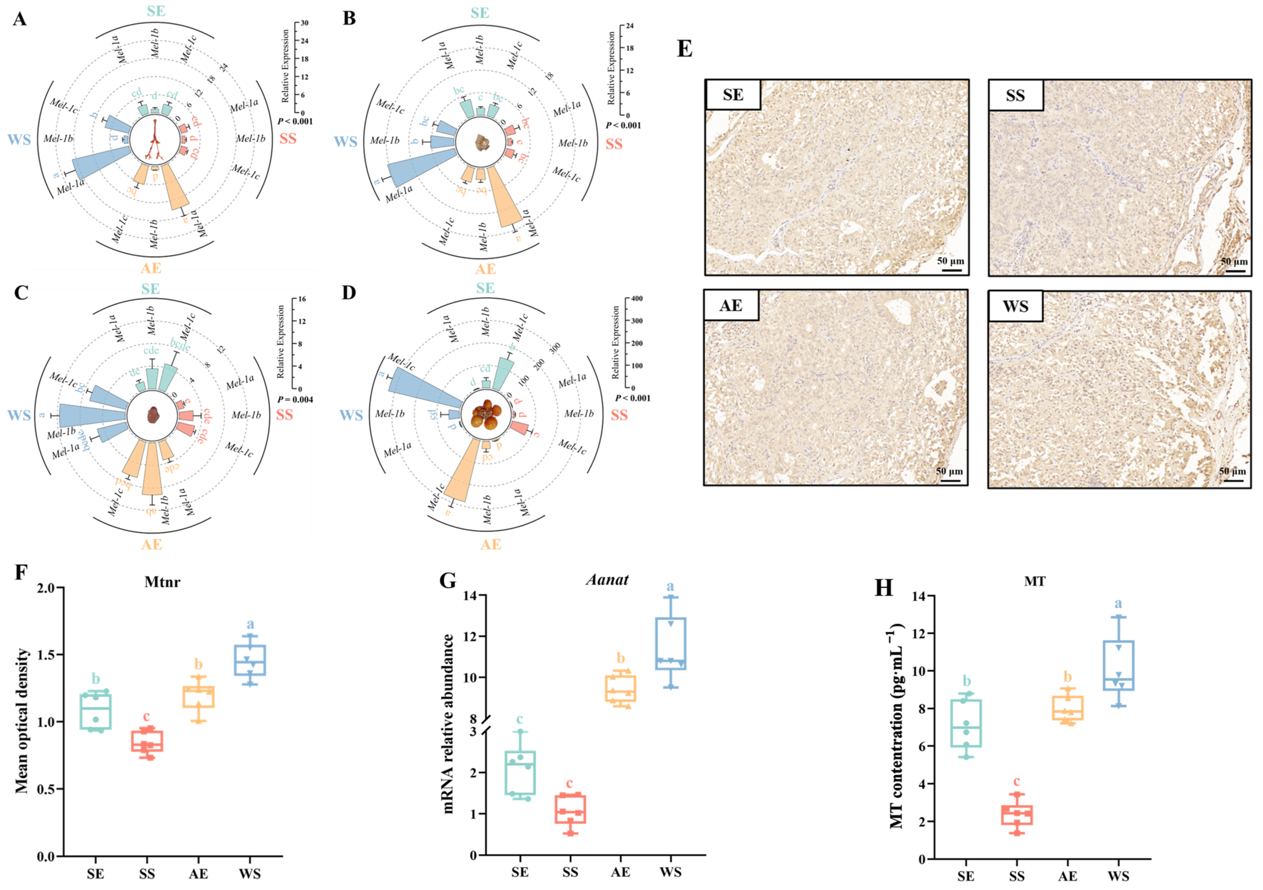 Ijms 24 11998 g004 Ijms 24 11998 g004