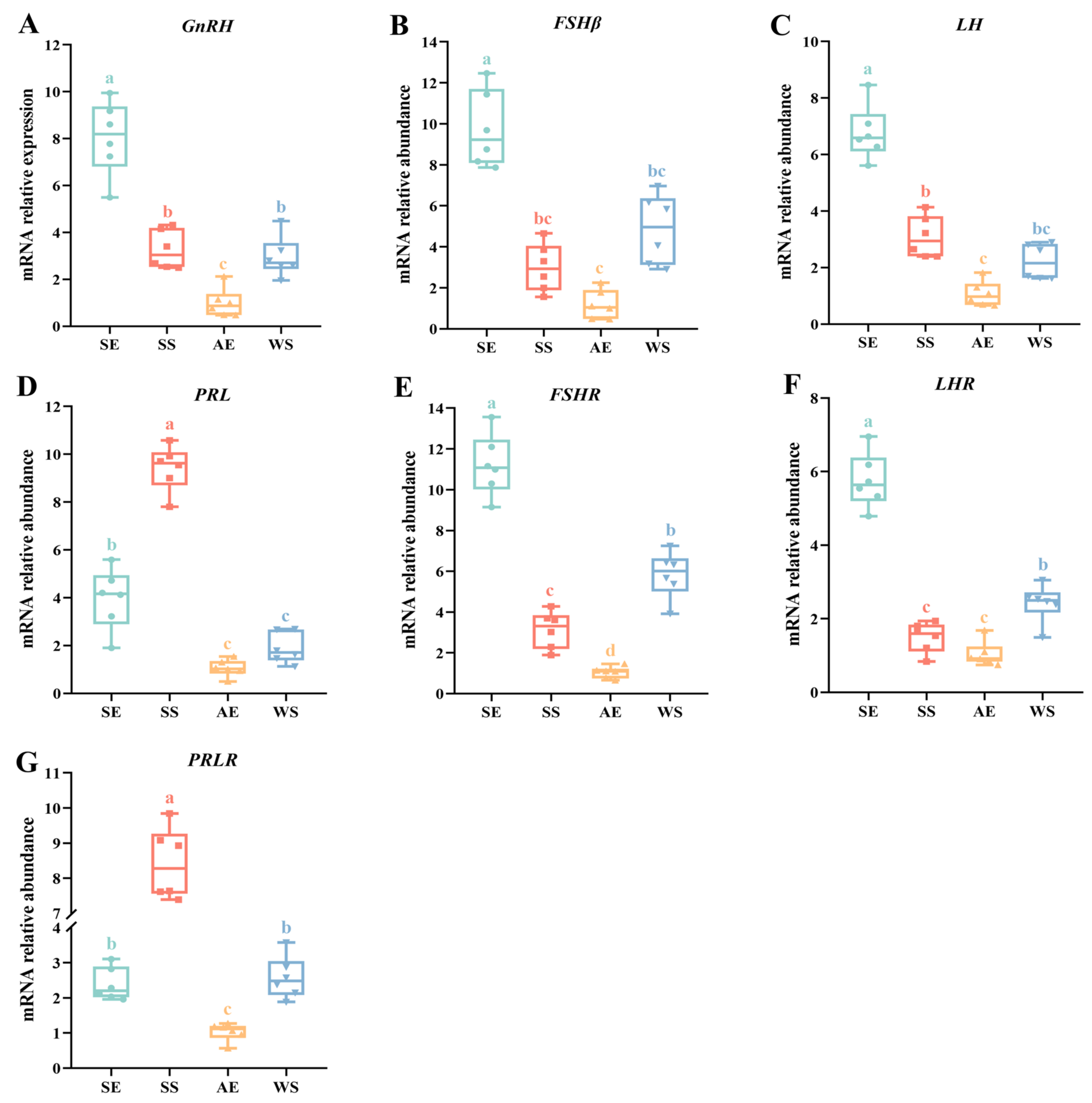 Ijms 24 11998 g005 Ijms 24 11998 g005
