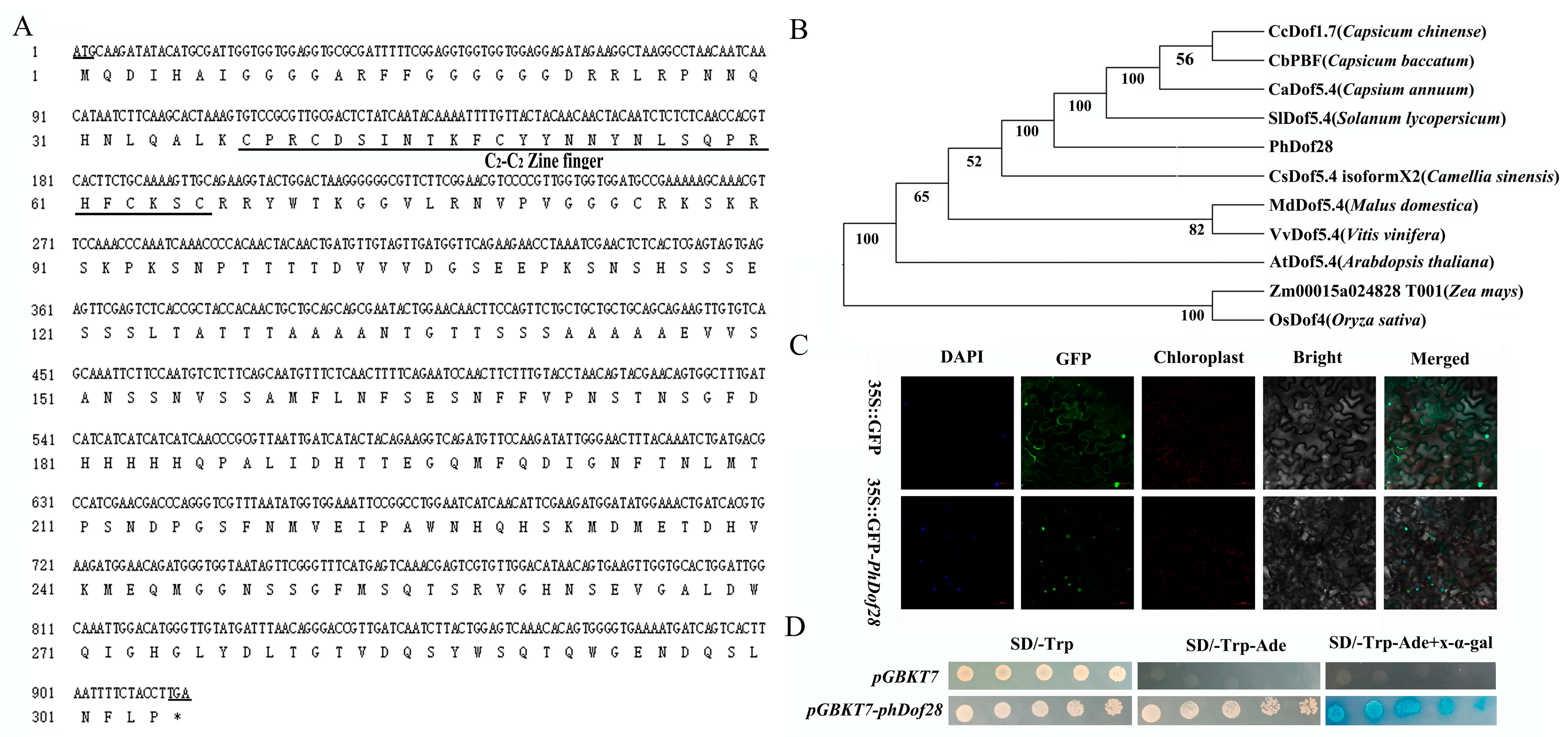 Ijms 24 11999 g001 Ijms 24 11999 g001