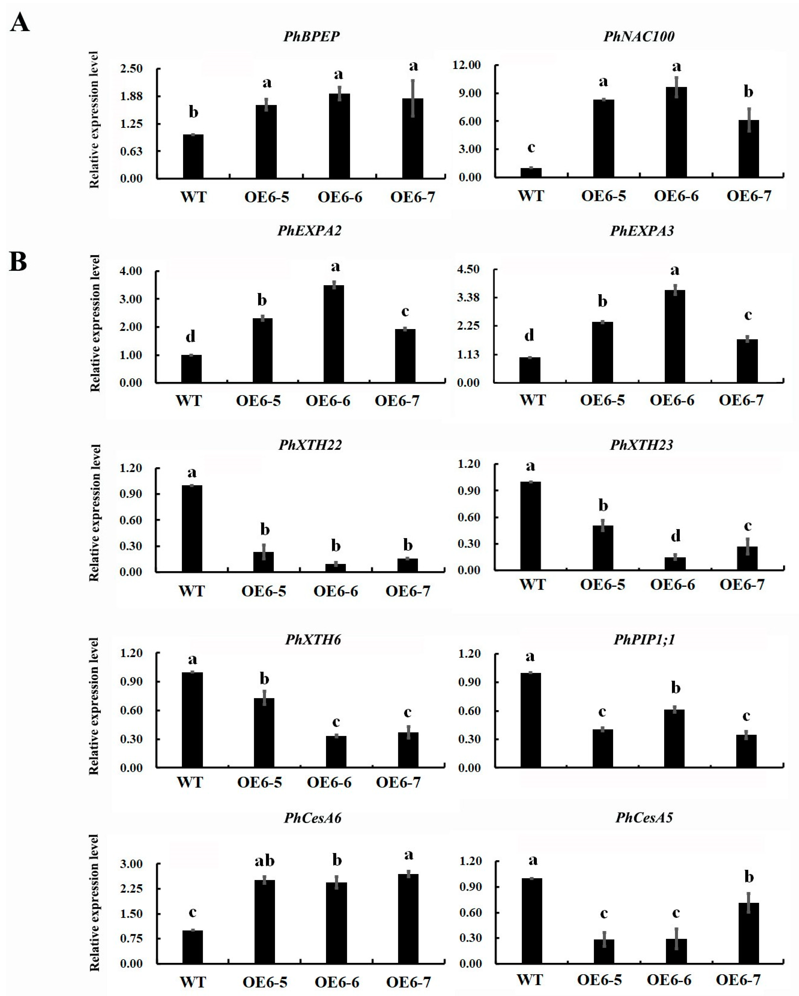 Ijms 24 11999 g007 Ijms 24 11999 g007