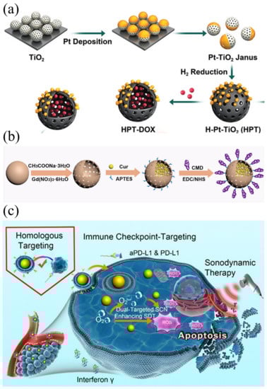 Ijms 24 12001 g009 550