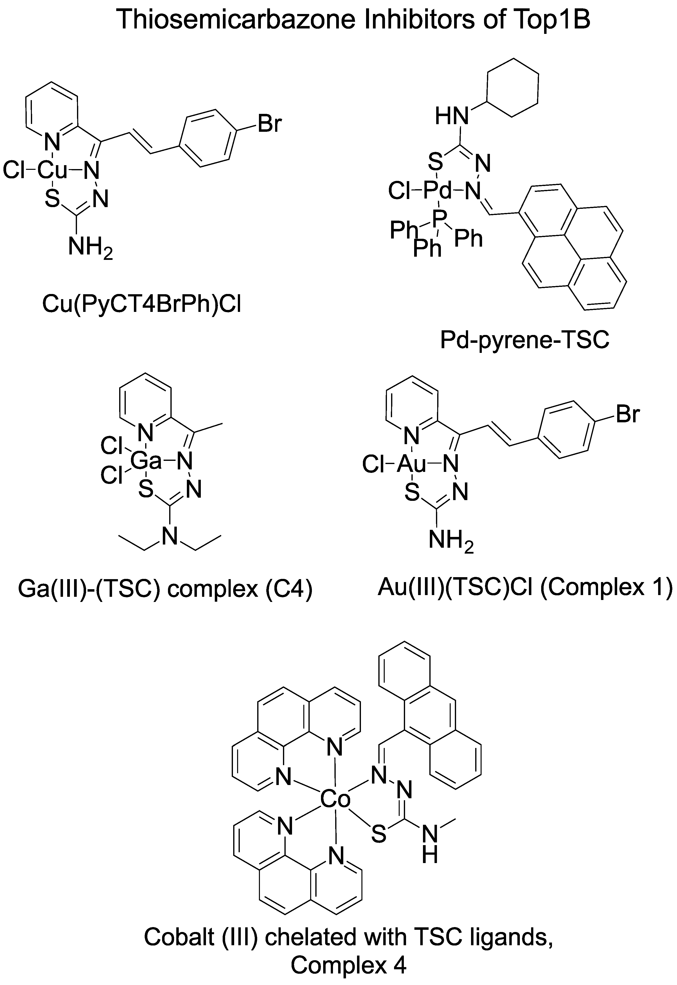 Ijms 24 12010 g002 Ijms 24 12010 g002