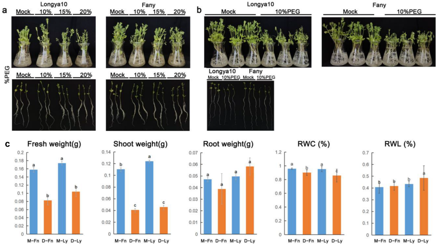Evaluation of Differentially Expressed Genes in Leaves vs. Roots ...
