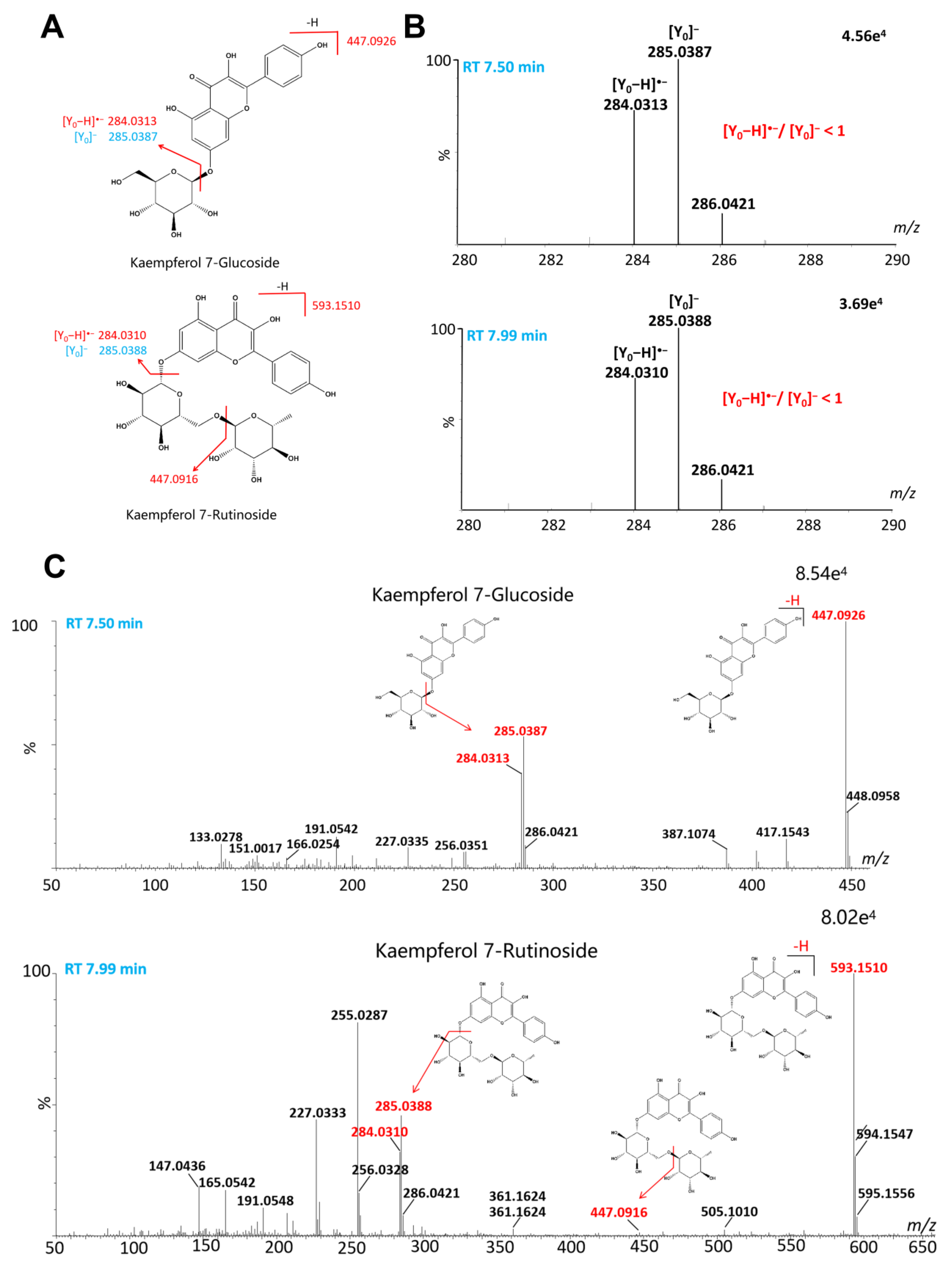 Ijms 24 12044 g003 Ijms 24 12044 g003