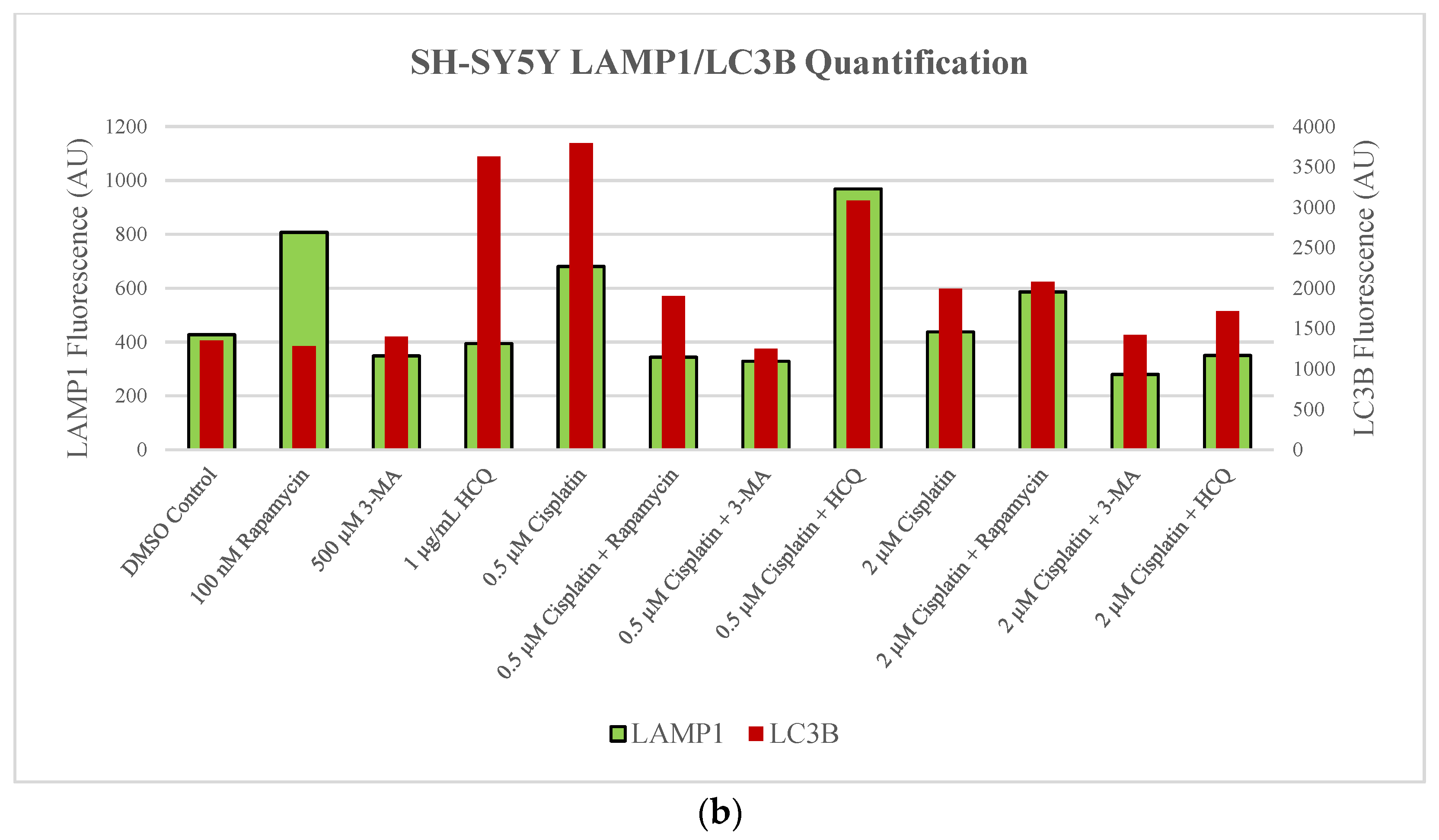 Ijms 24 12052 g003c Ijms 24 12052 g003c