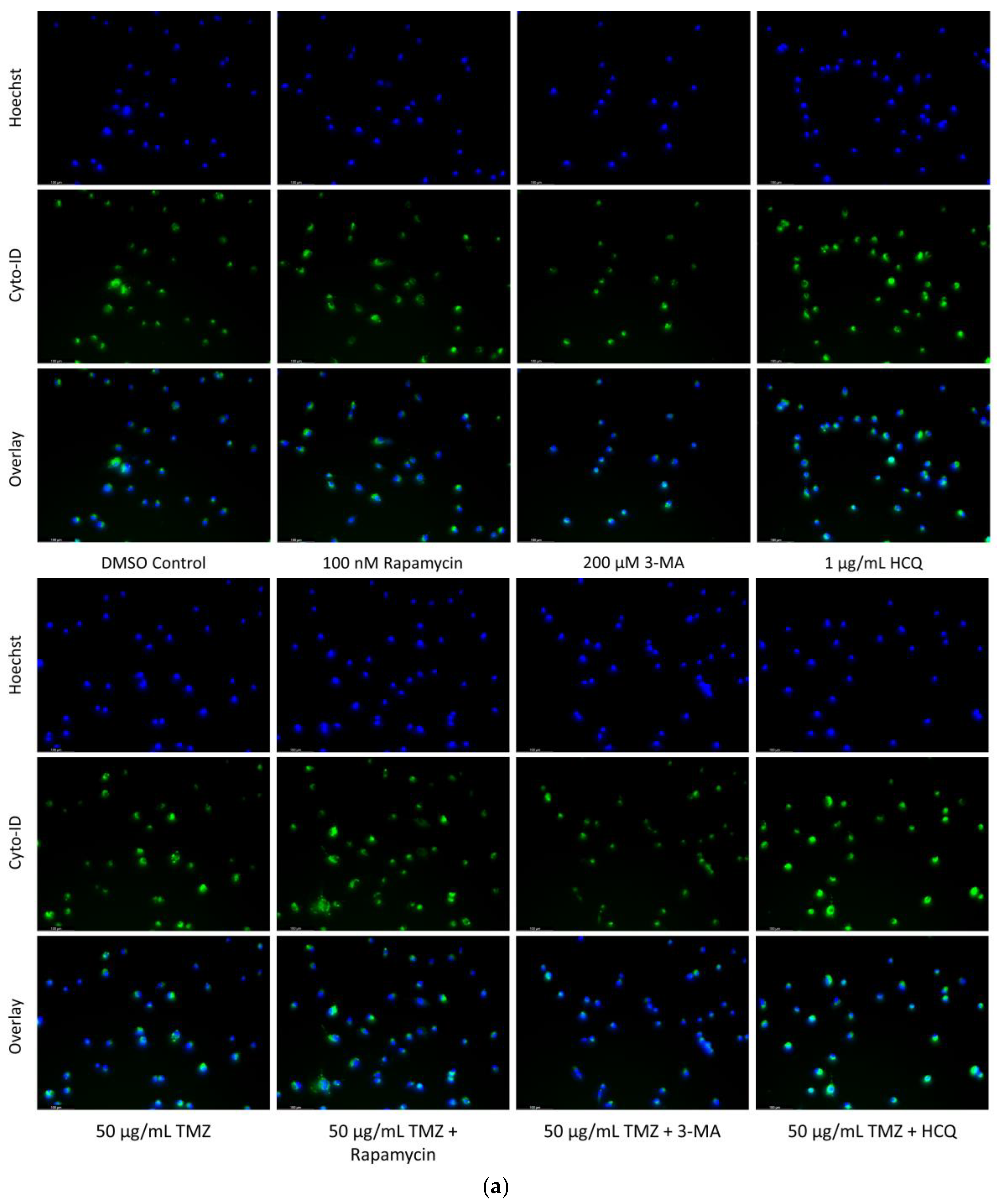 Ijms 24 12052 g004a Ijms 24 12052 g004a