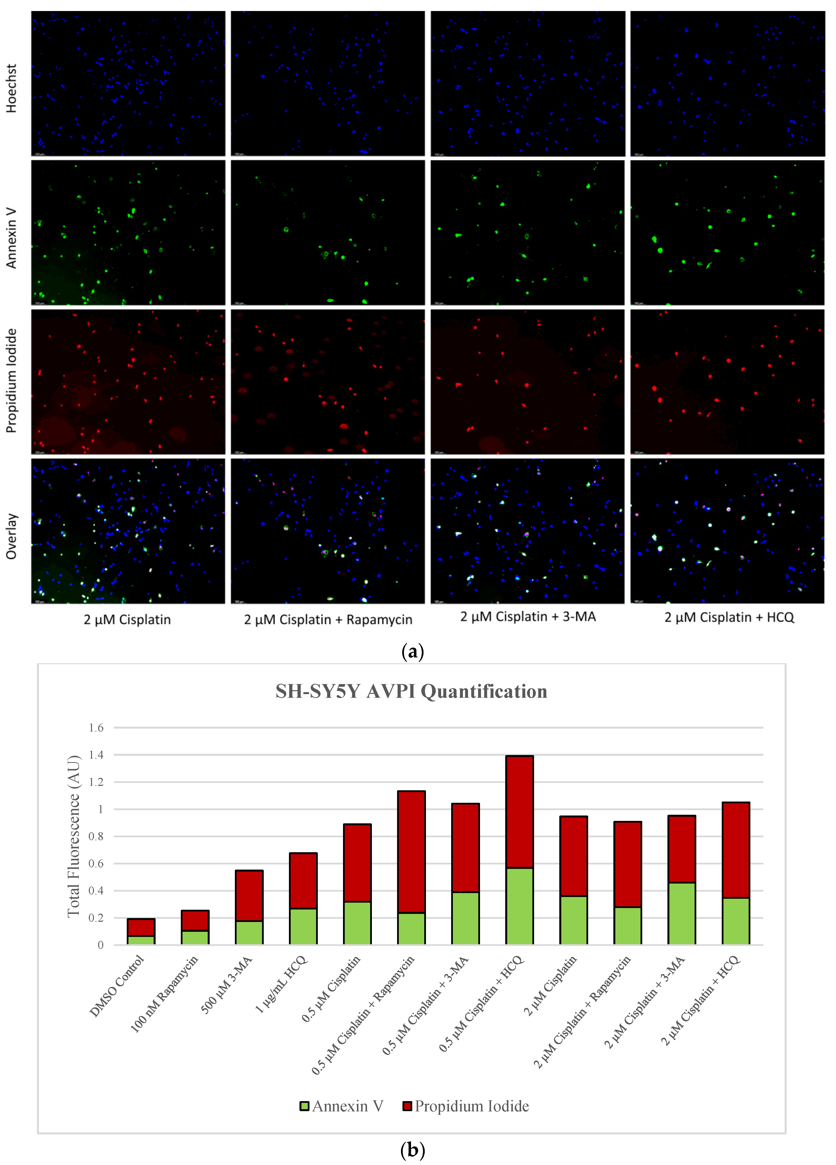 Ijms 24 12052 g006b Ijms 24 12052 g006b