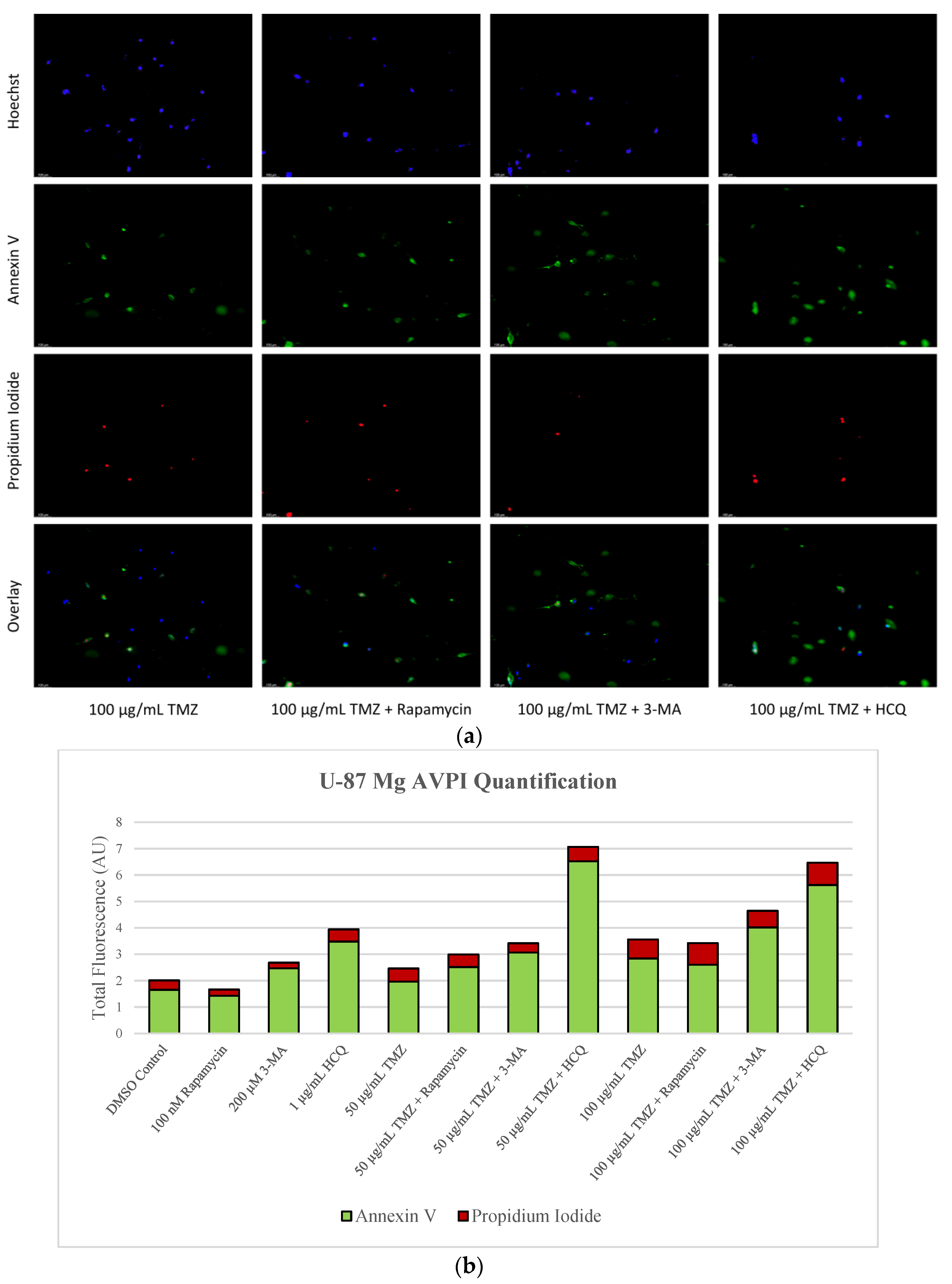 Ijms 24 12052 g007b Ijms 24 12052 g007b