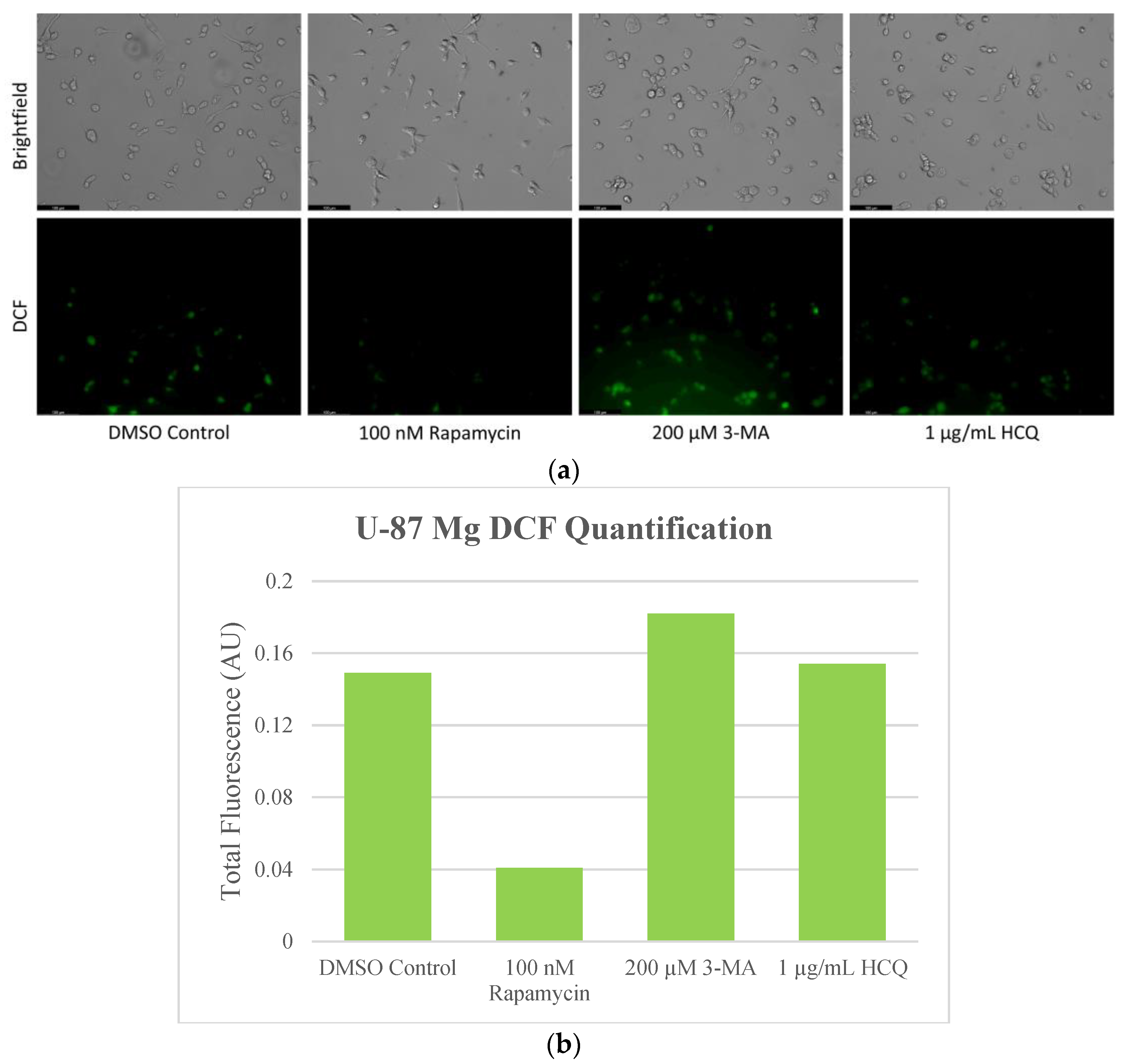 Ijms 24 12052 g009 Ijms 24 12052 g009