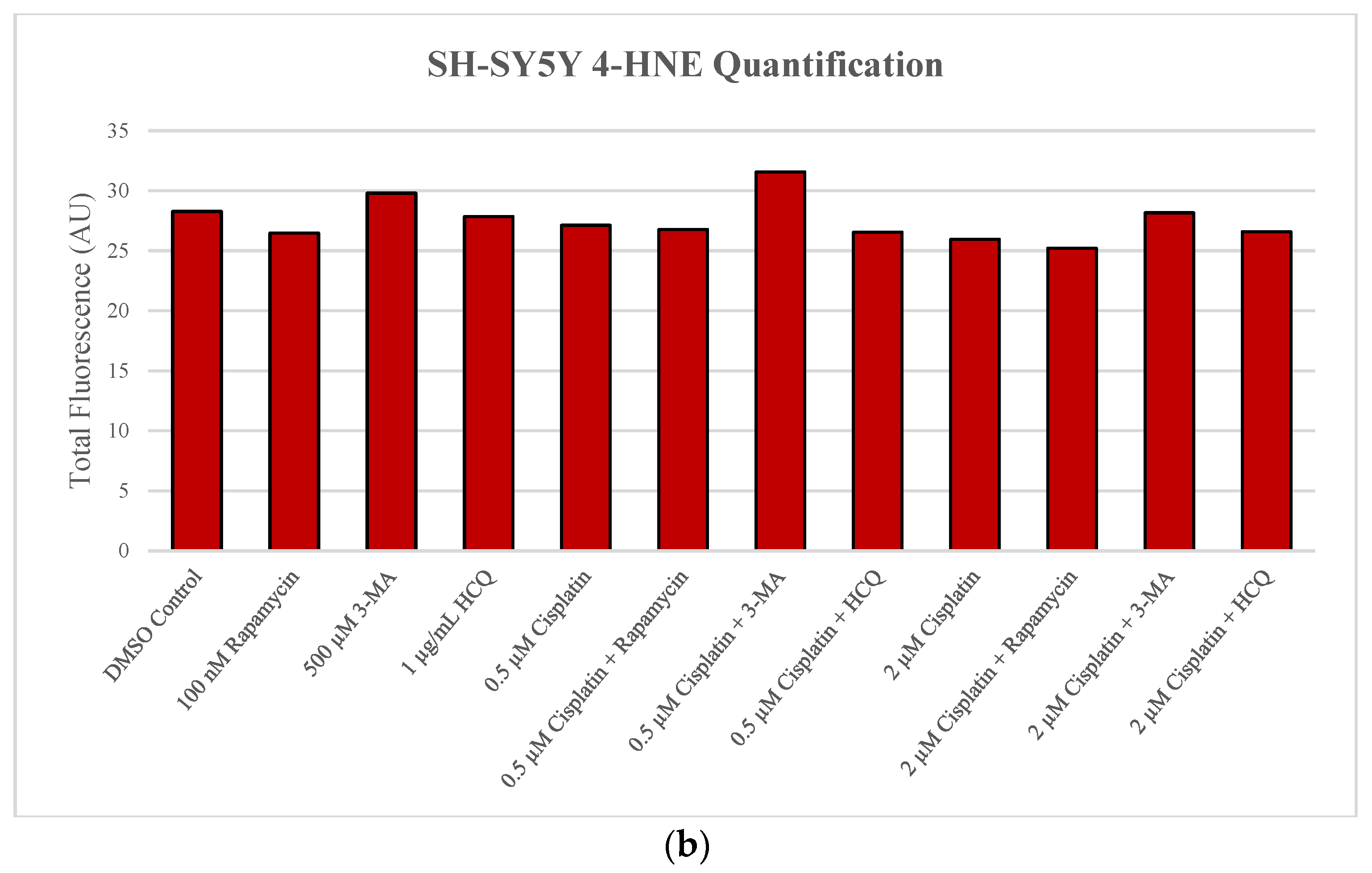 Ijms 24 12052 g010b Ijms 24 12052 g010b