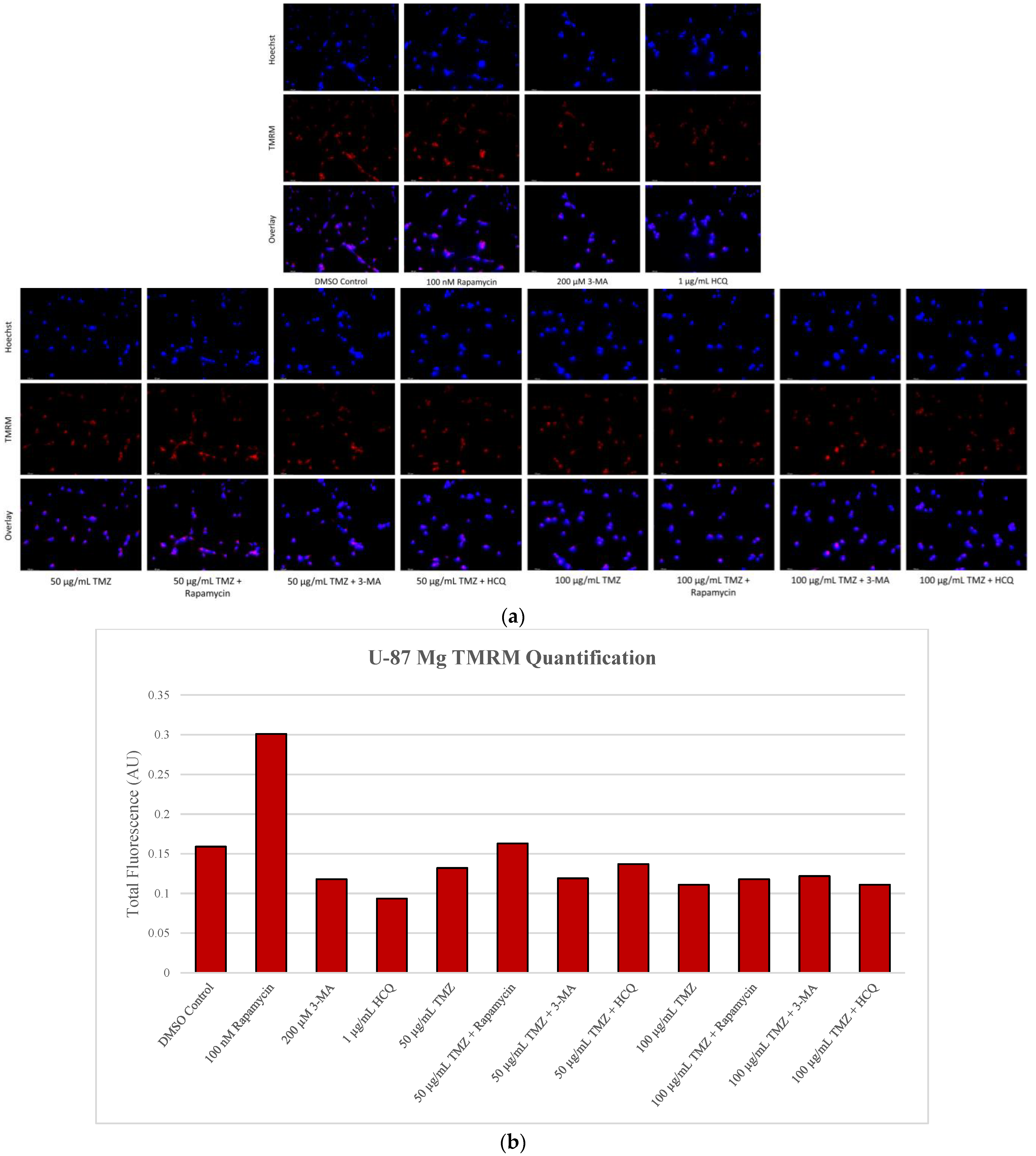 Ijms 24 12052 g013 Ijms 24 12052 g013
