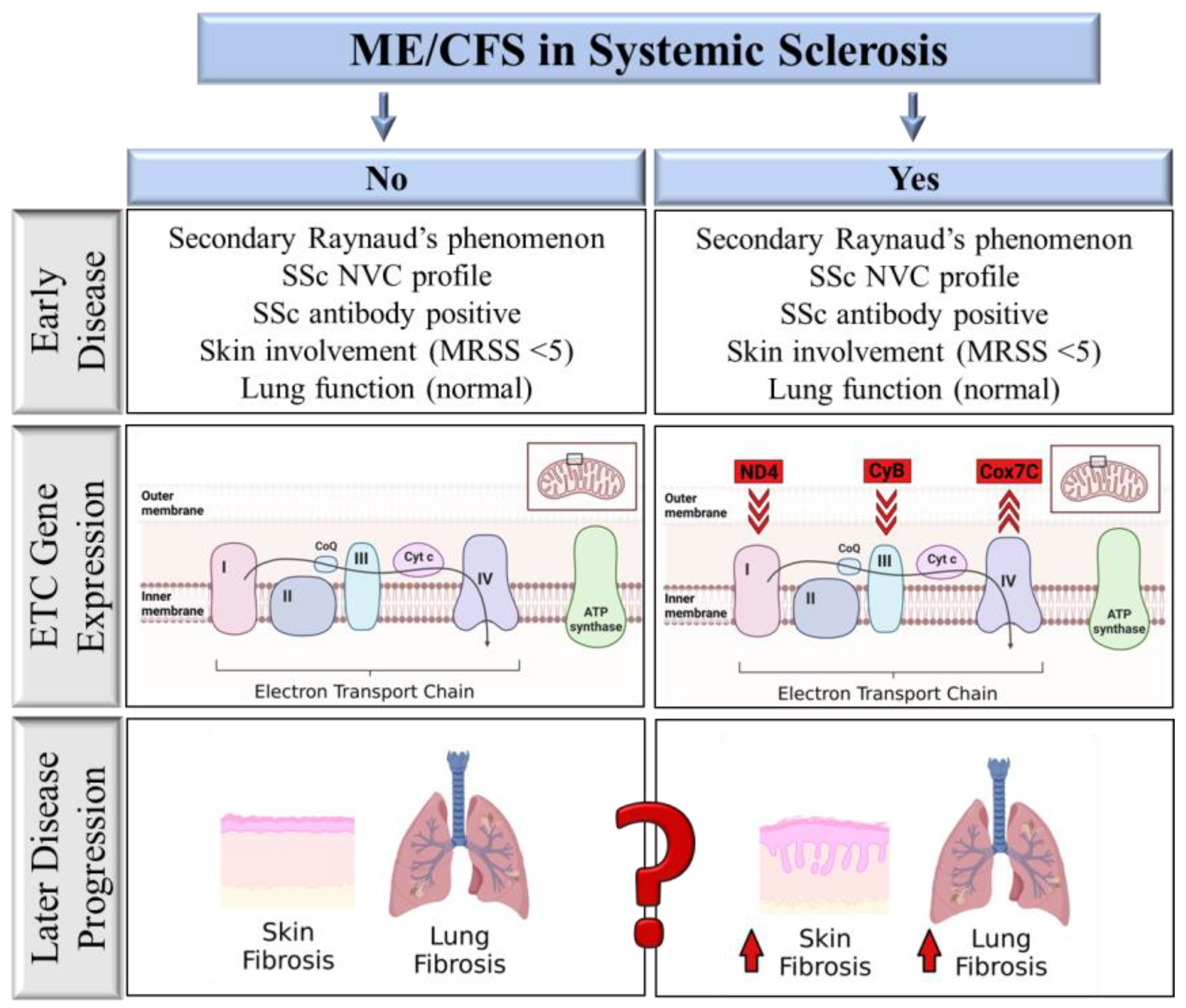Ijms 24 12057 g002 Ijms 24 12057 g002