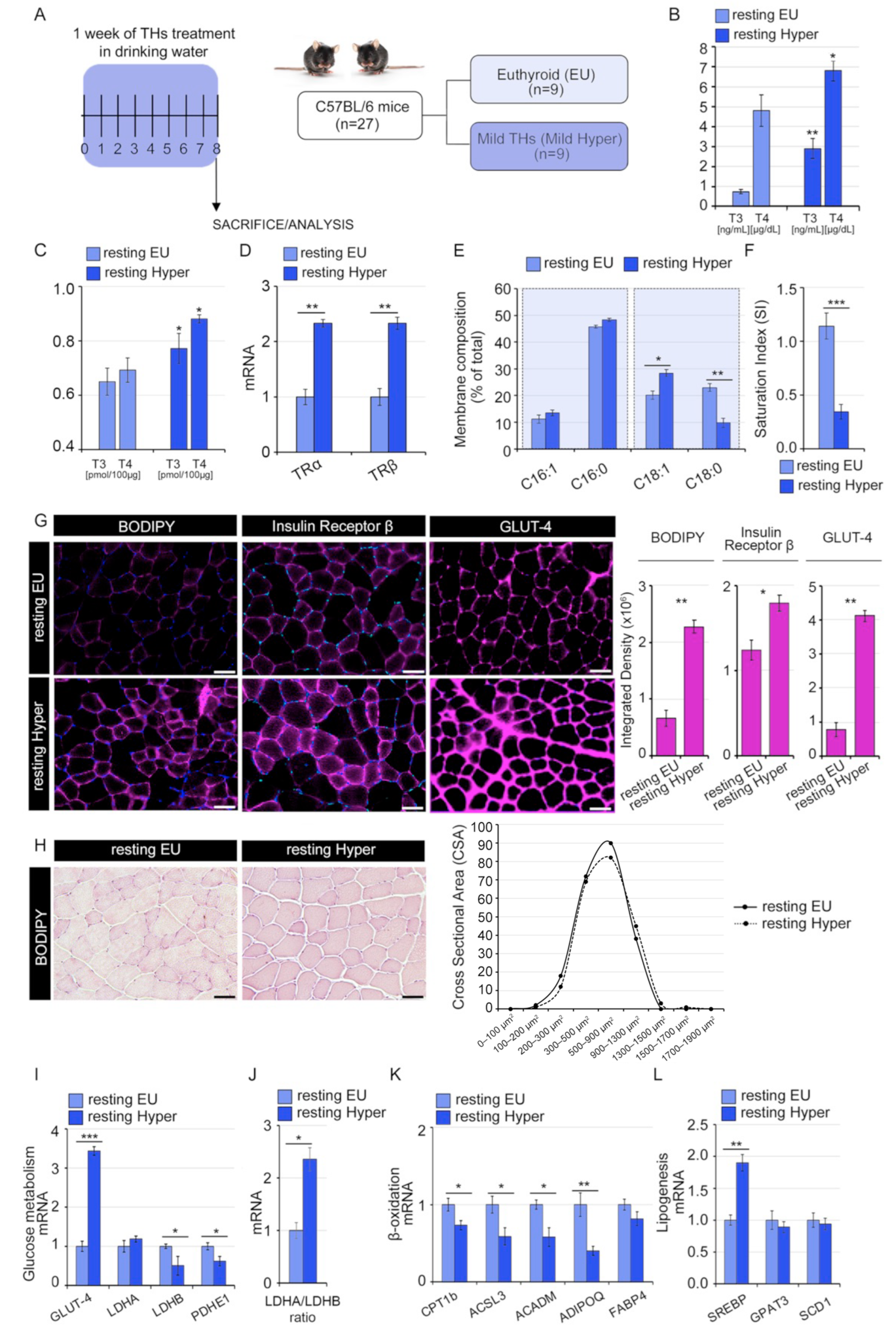 Ijms 24 12074 g002 Ijms 24 12074 g002
