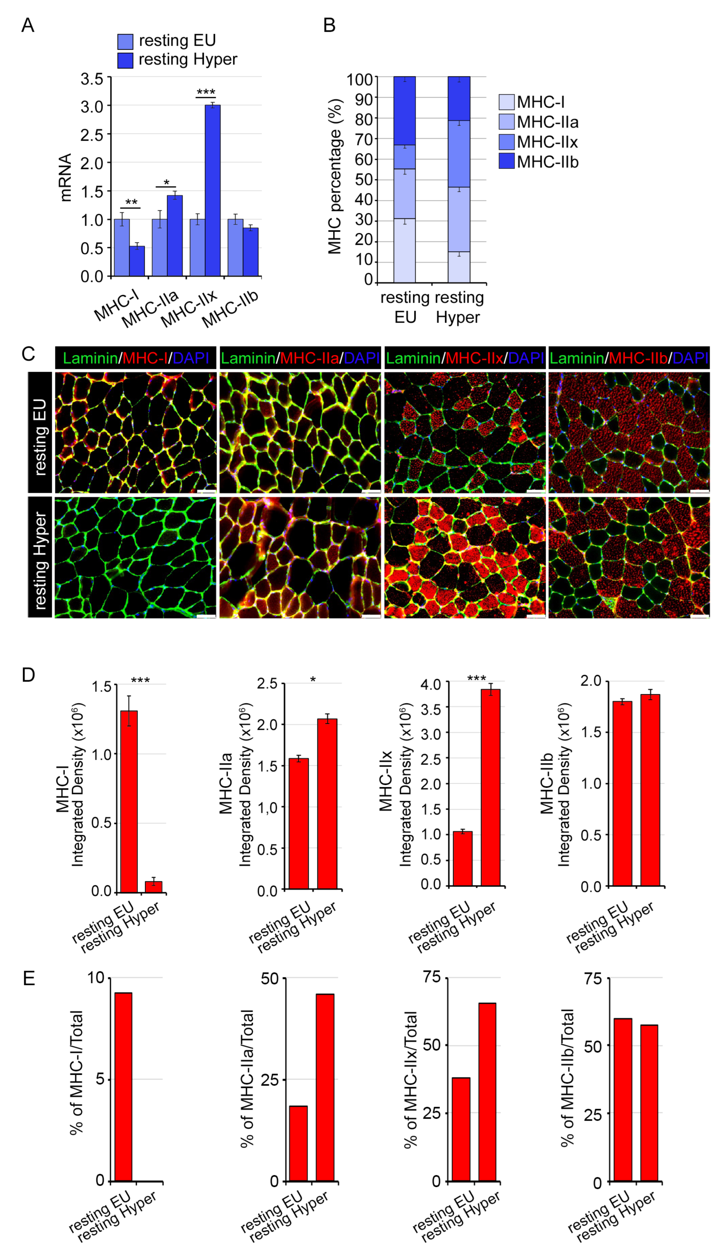 Ijms 24 12074 g003 Ijms 24 12074 g003