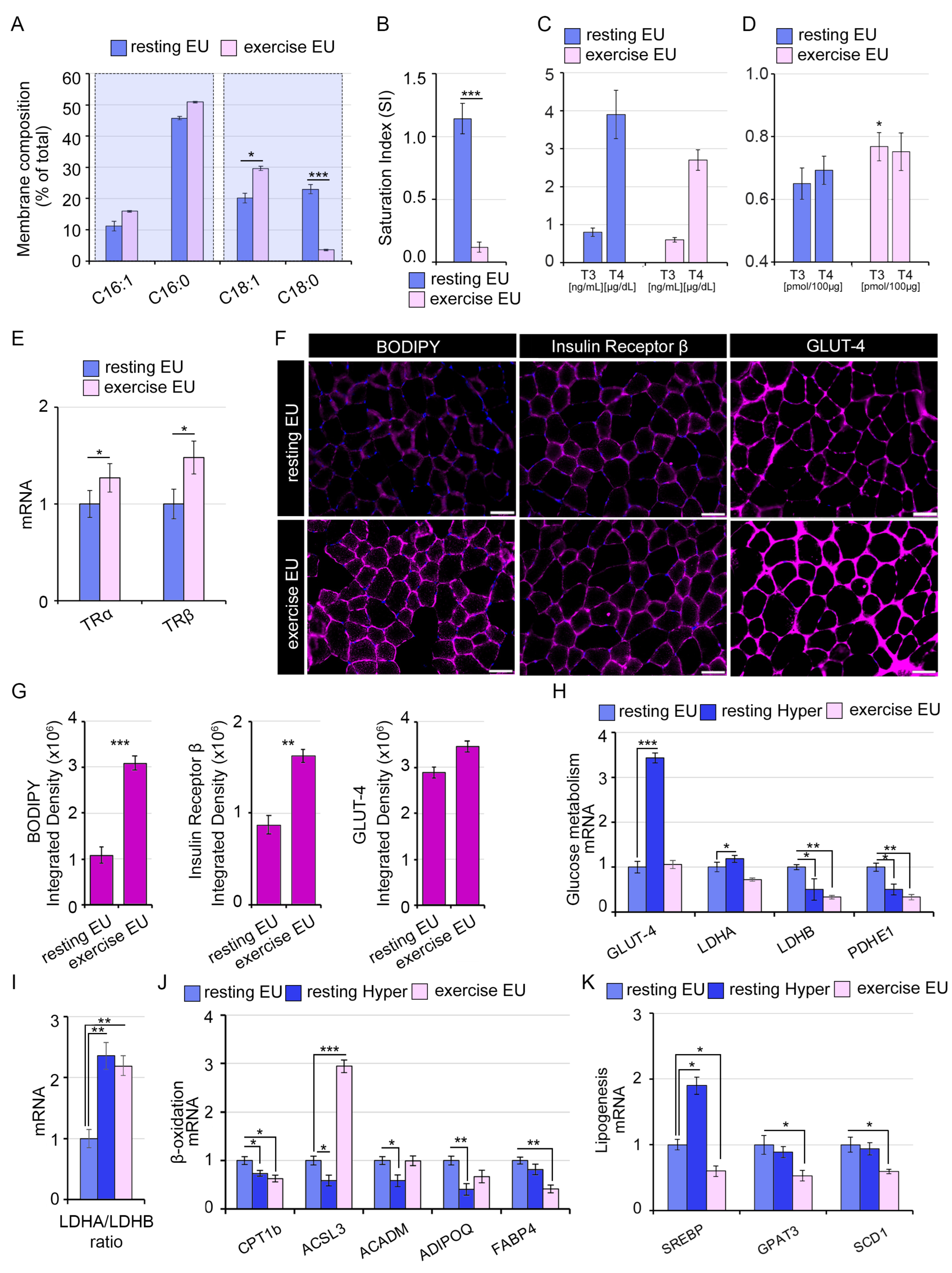 Ijms 24 12074 g004 Ijms 24 12074 g004