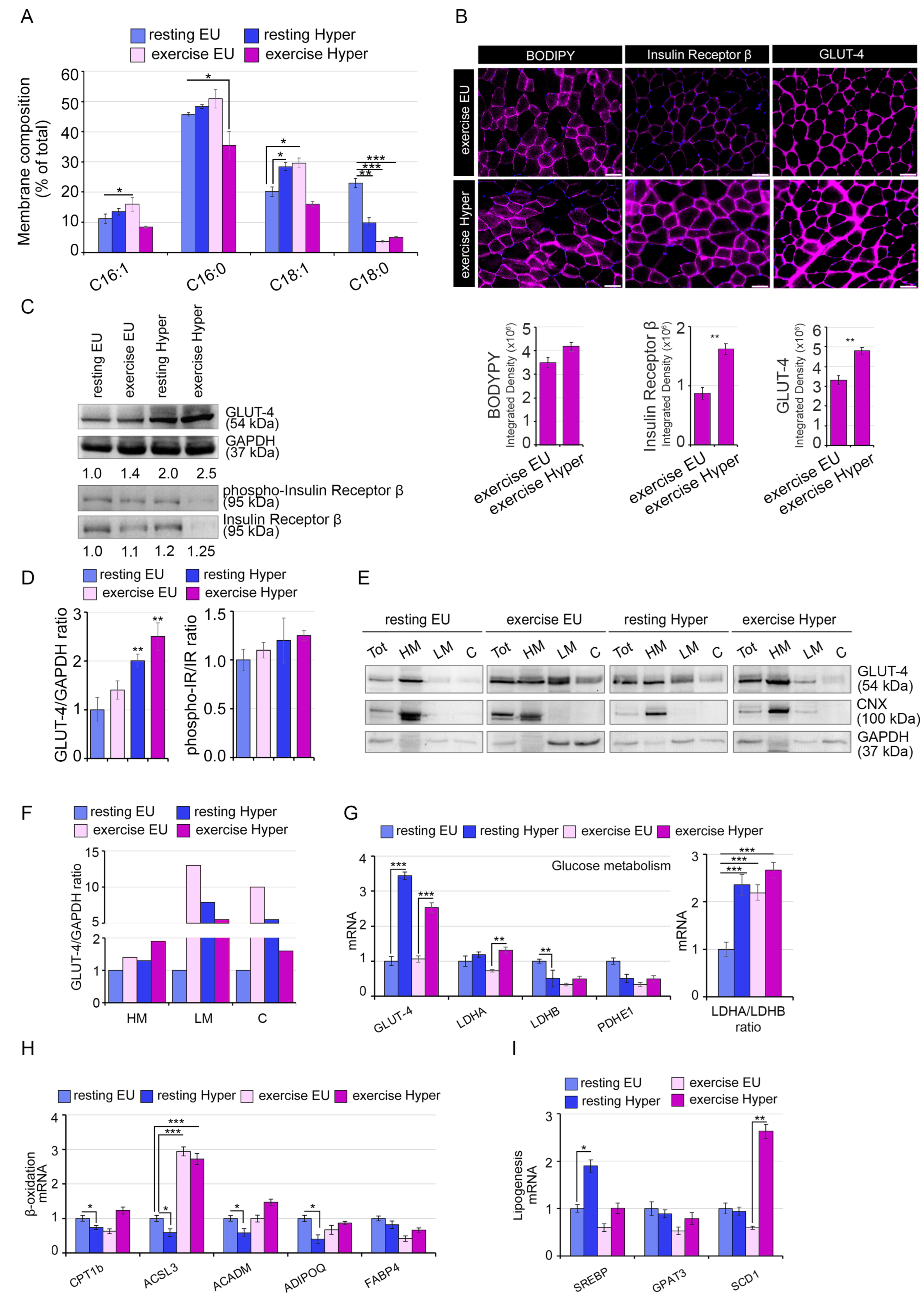 Ijms 24 12074 g006 Ijms 24 12074 g006