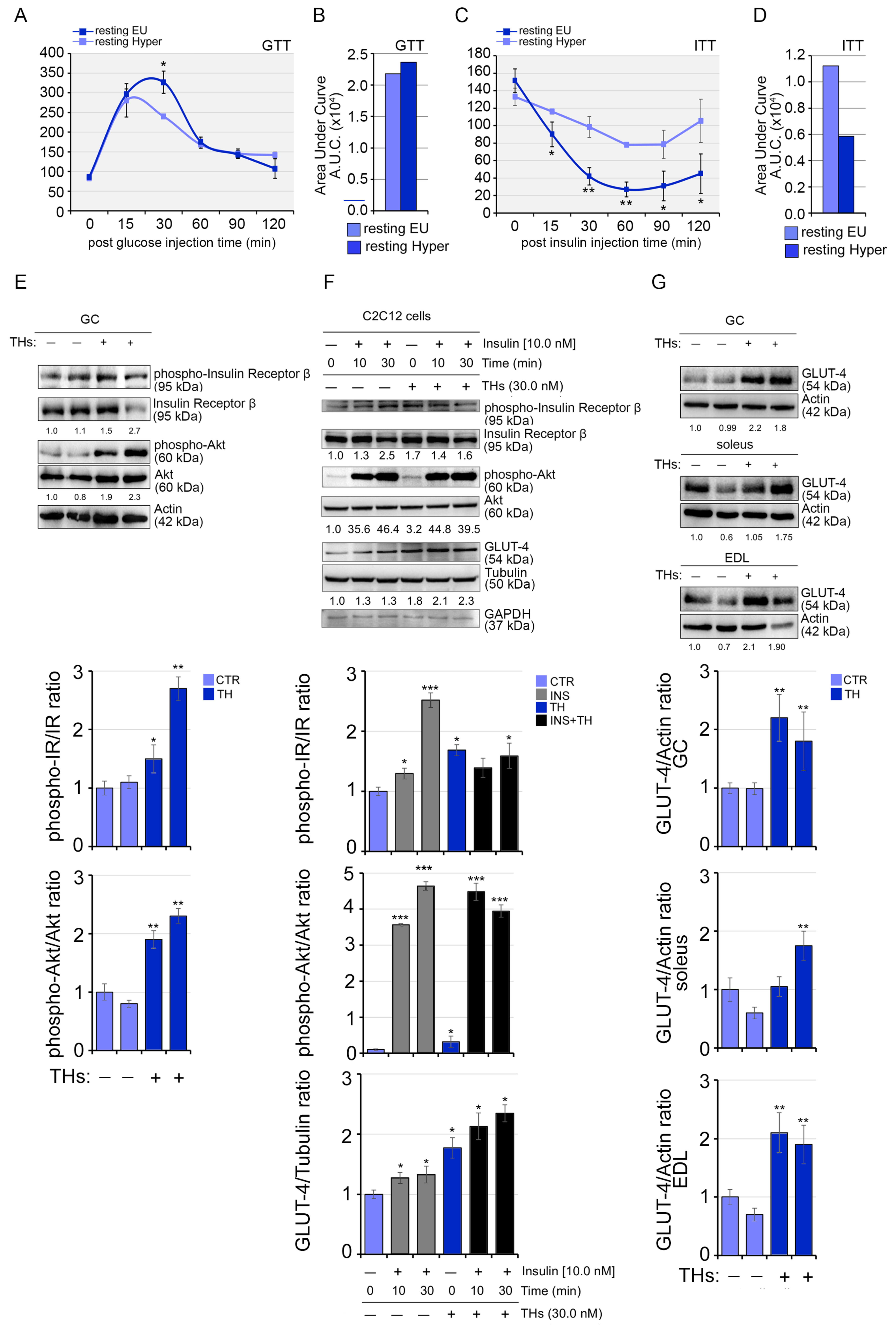 Ijms 24 12074 g007 Ijms 24 12074 g007