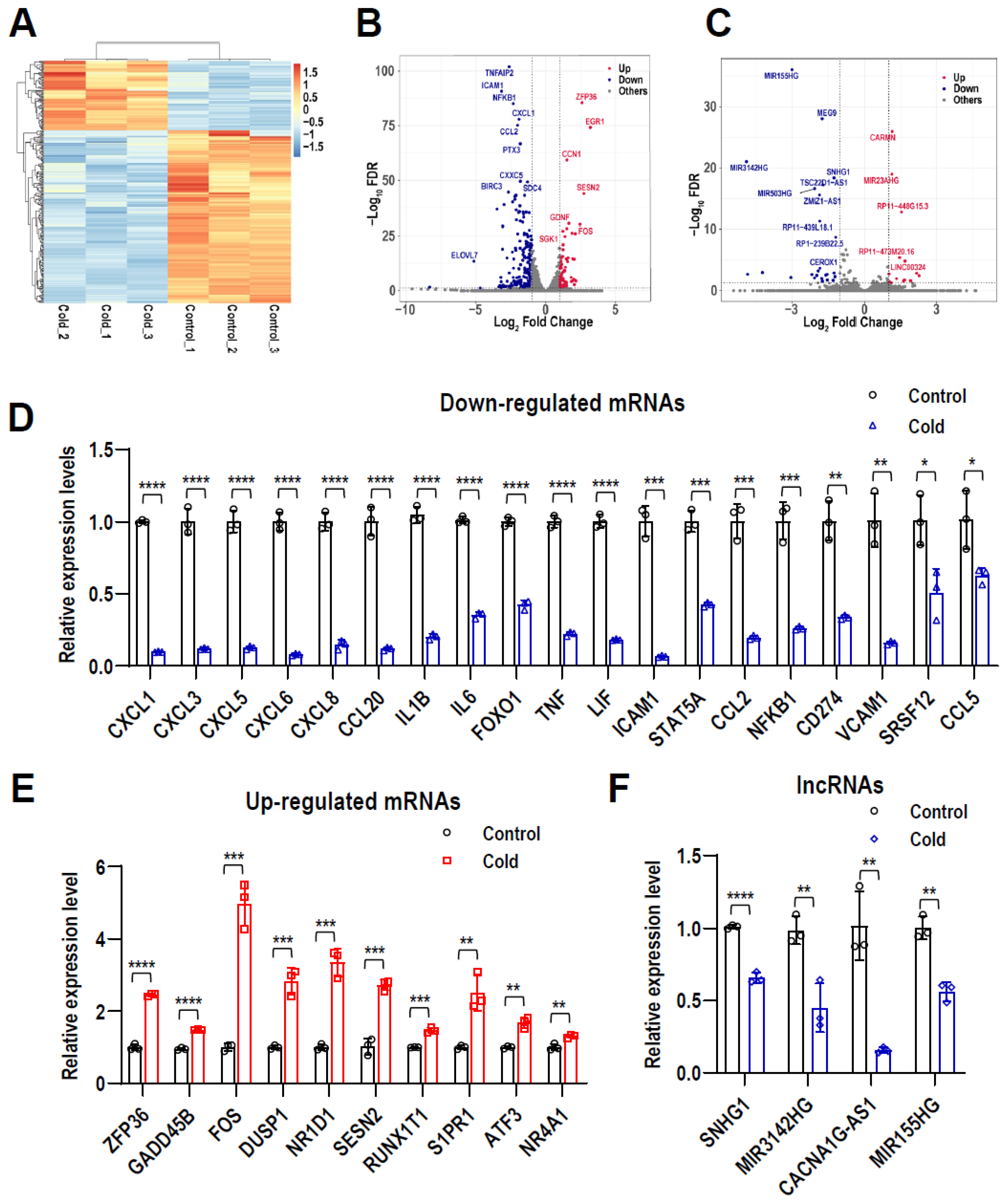 Ijms 24 12097 g002 Ijms 24 12097 g002