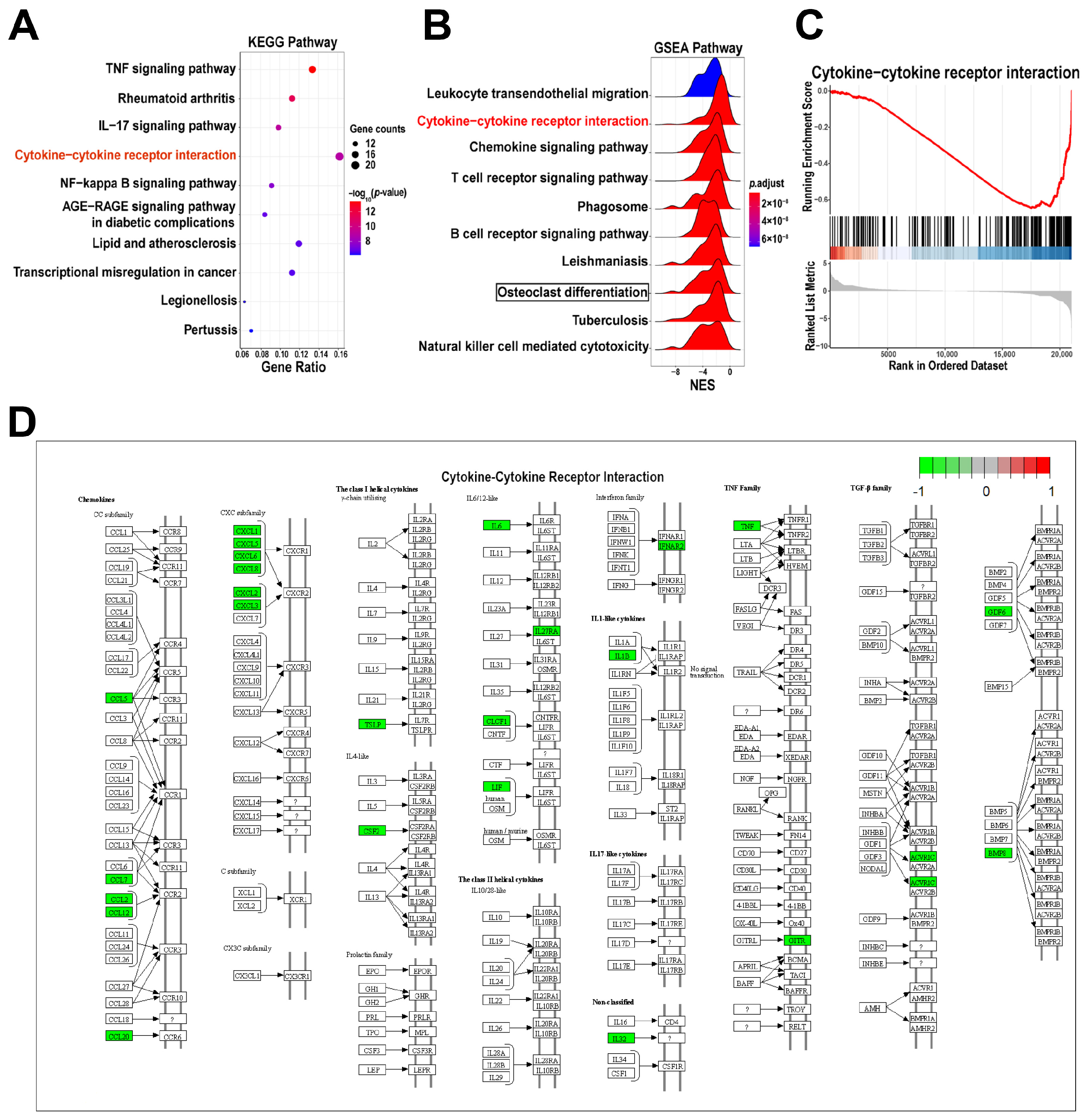 Ijms 24 12097 g004 Ijms 24 12097 g004