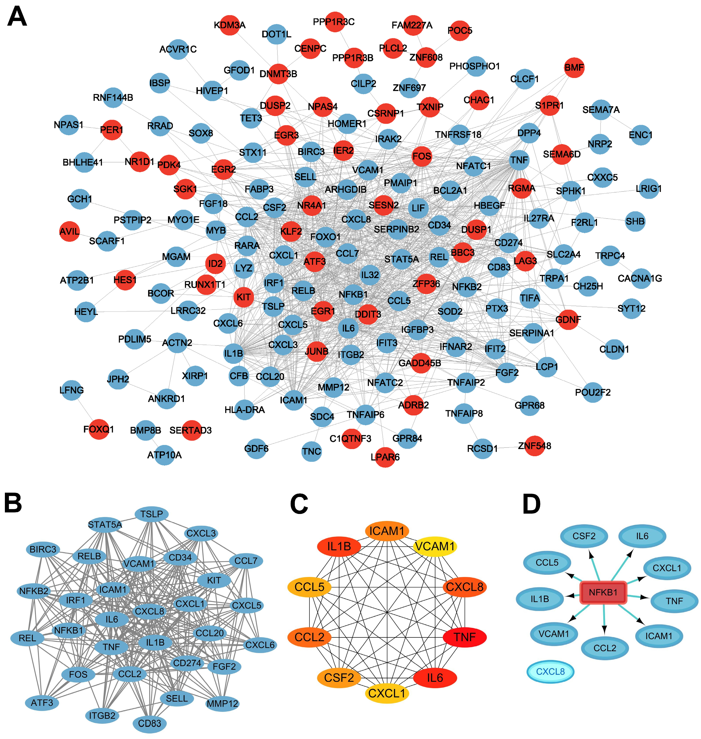 Ijms 24 12097 g005 Ijms 24 12097 g005