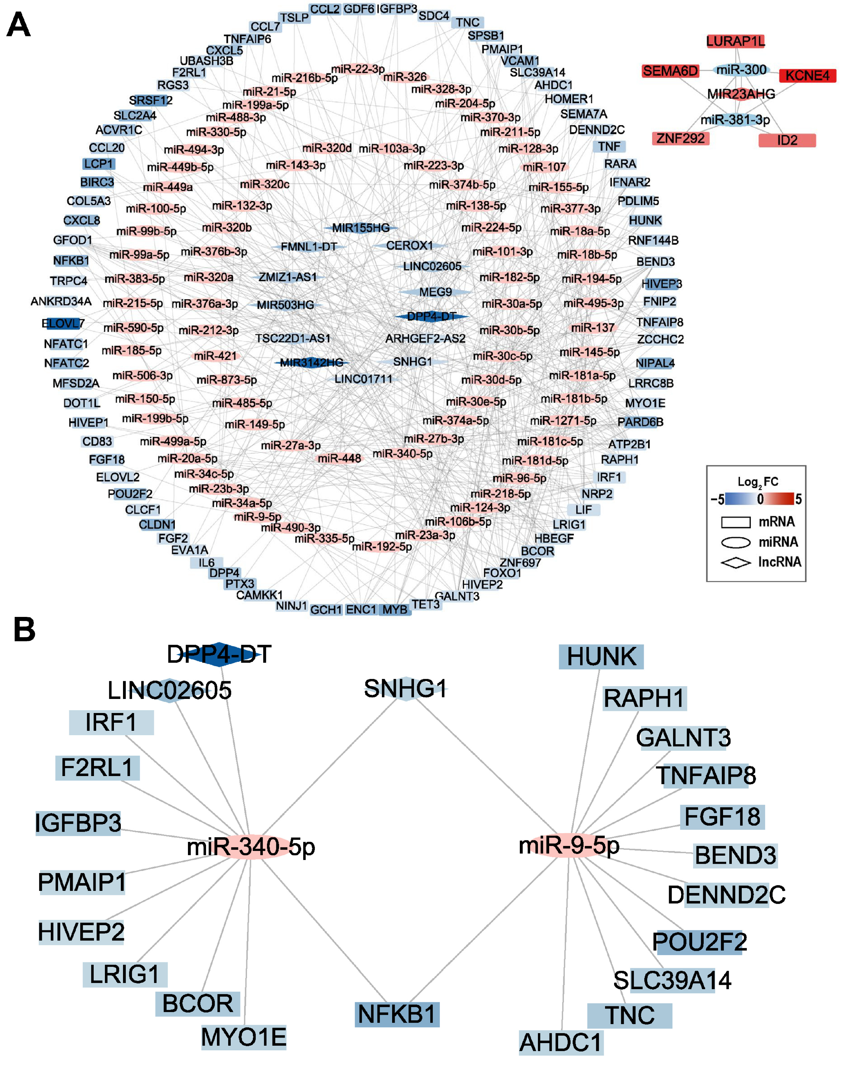 Ijms 24 12097 g006 Ijms 24 12097 g006