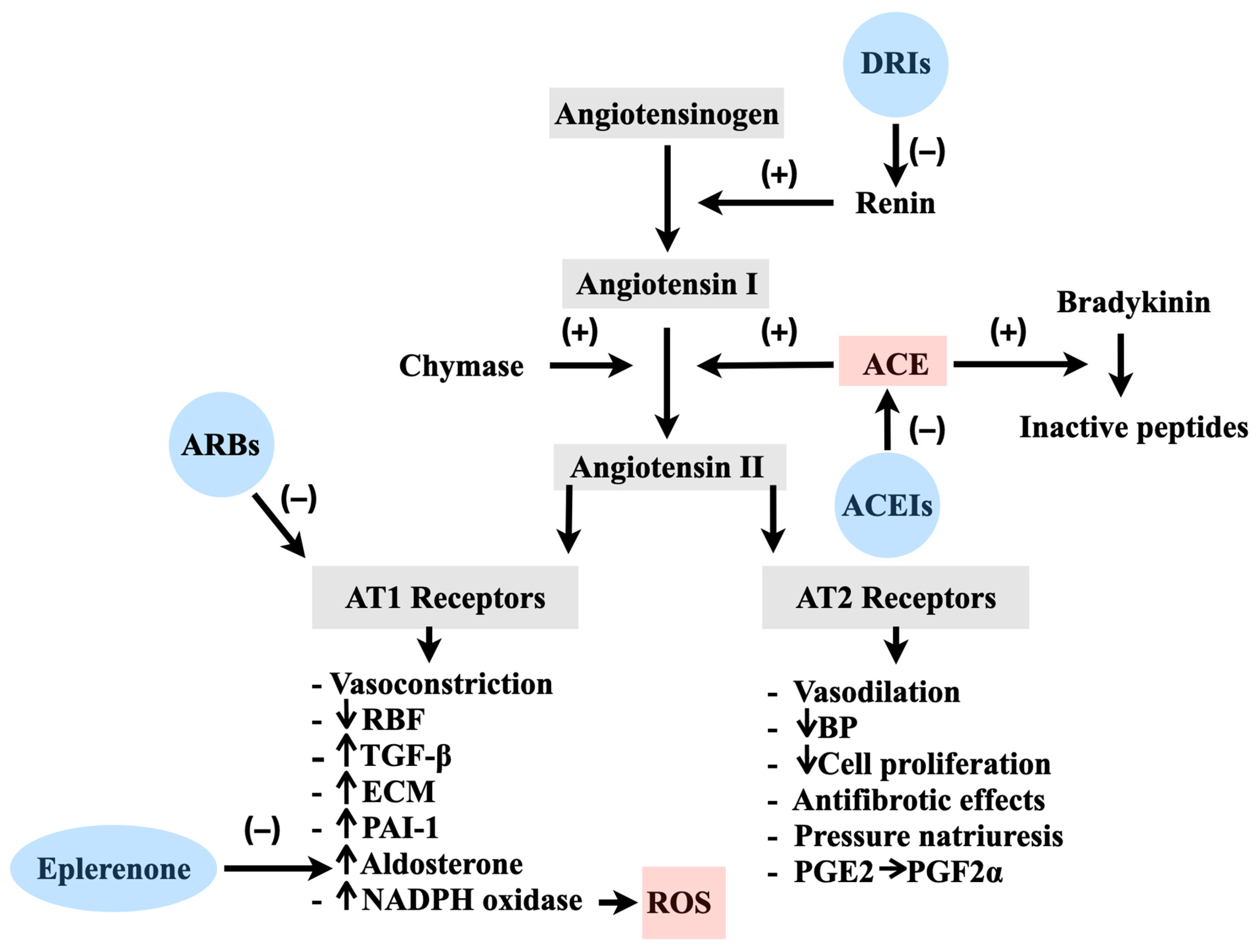 Ijms 24 12111 g001 Ijms 24 12111 g001