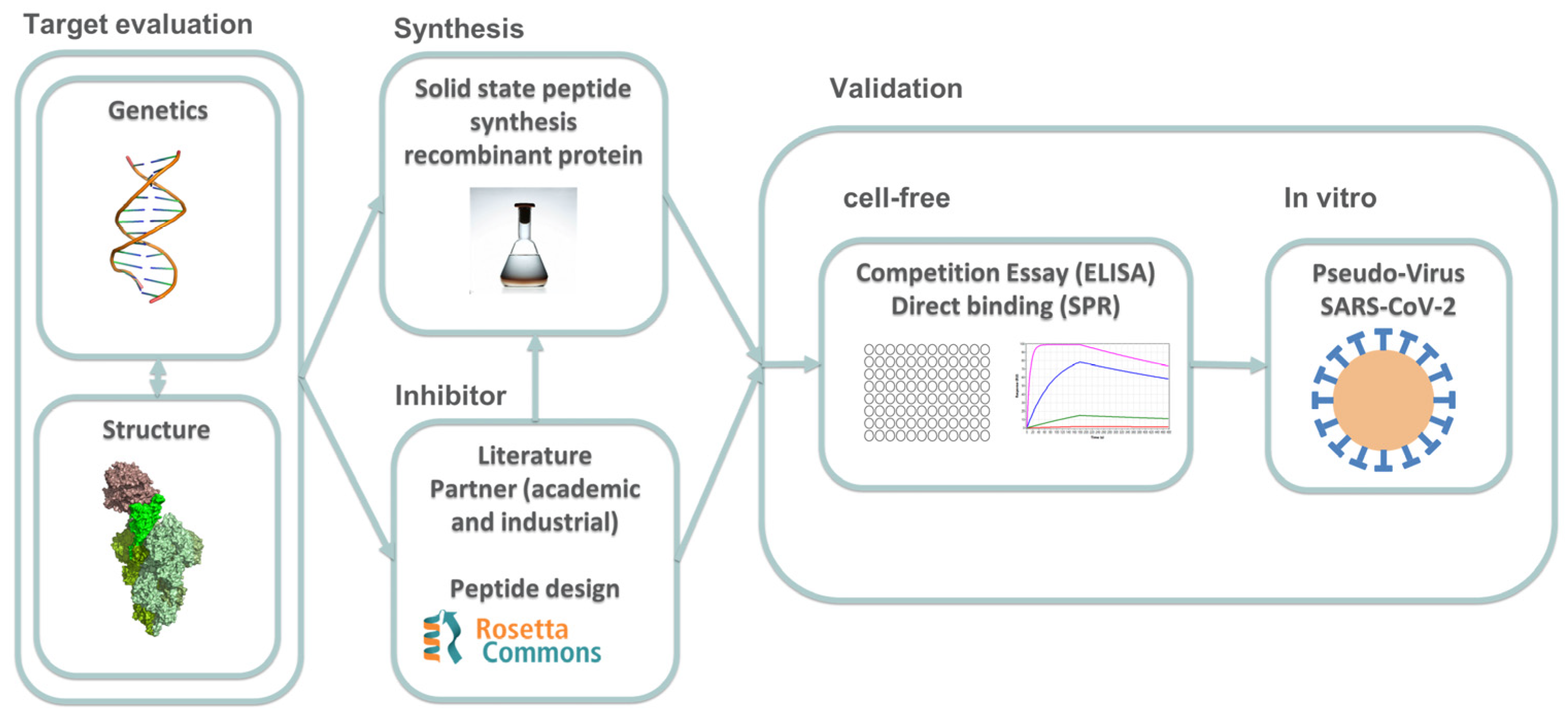 Ijms 24 12146 g001 Ijms 24 12146 g001