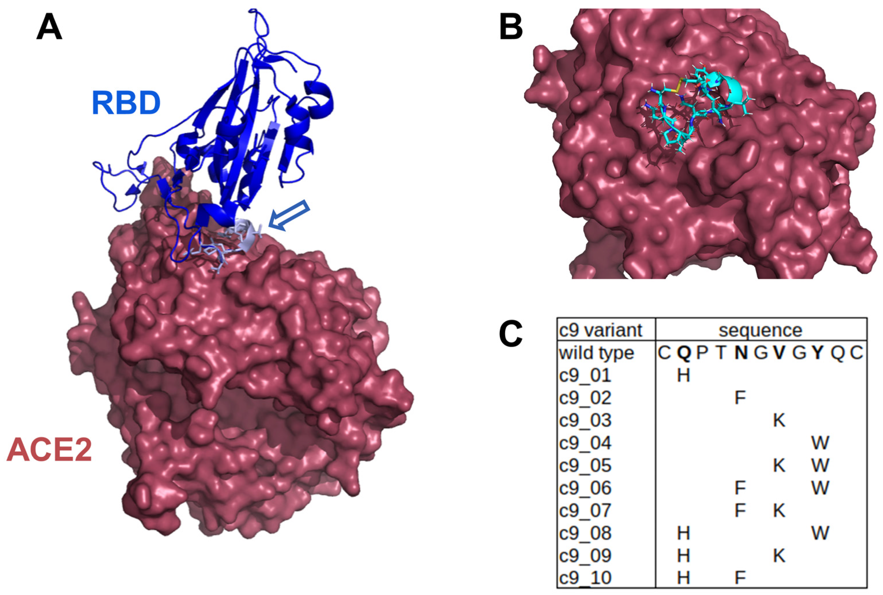Ijms 24 12146 g002 Ijms 24 12146 g002