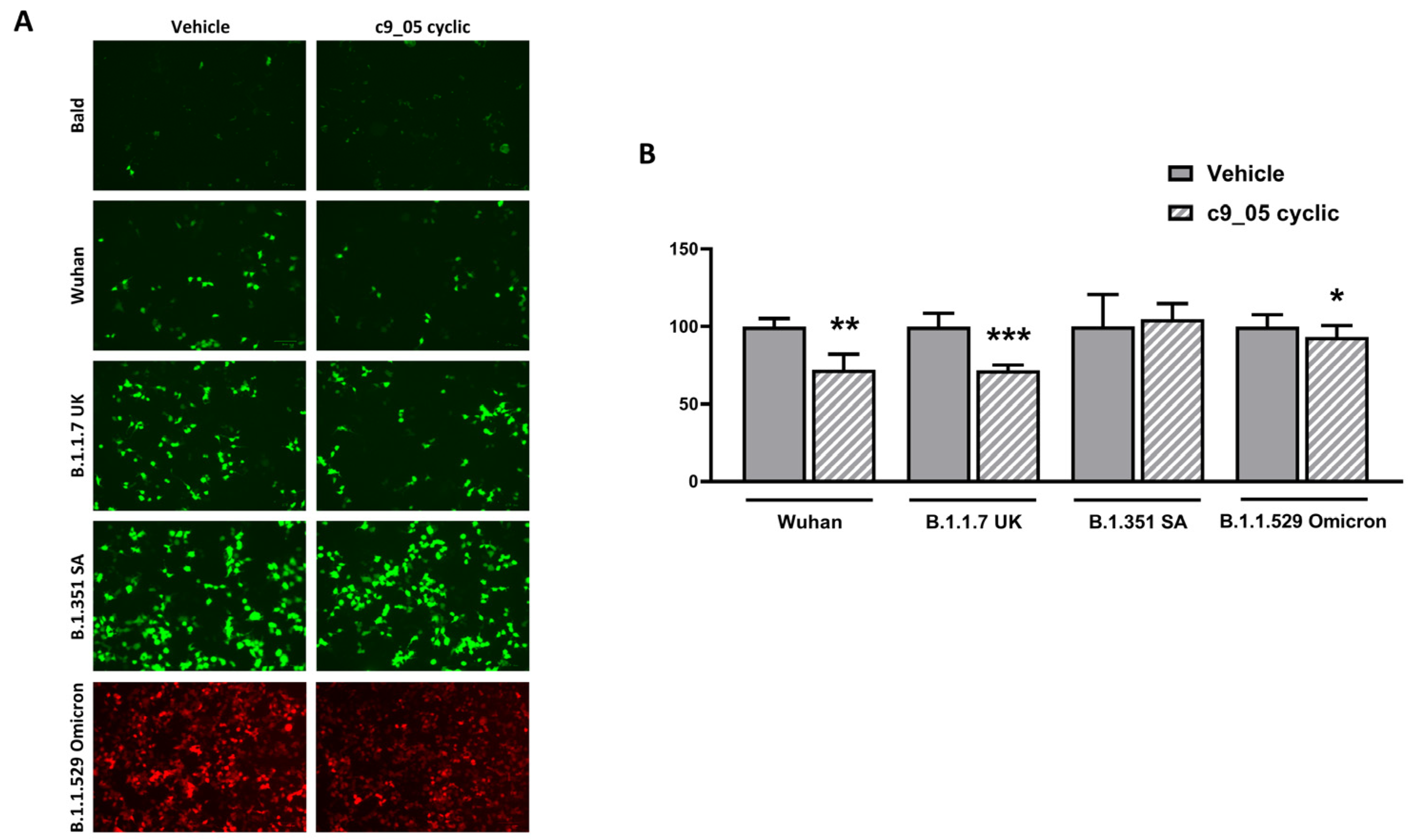 Ijms 24 12146 g004 Ijms 24 12146 g004