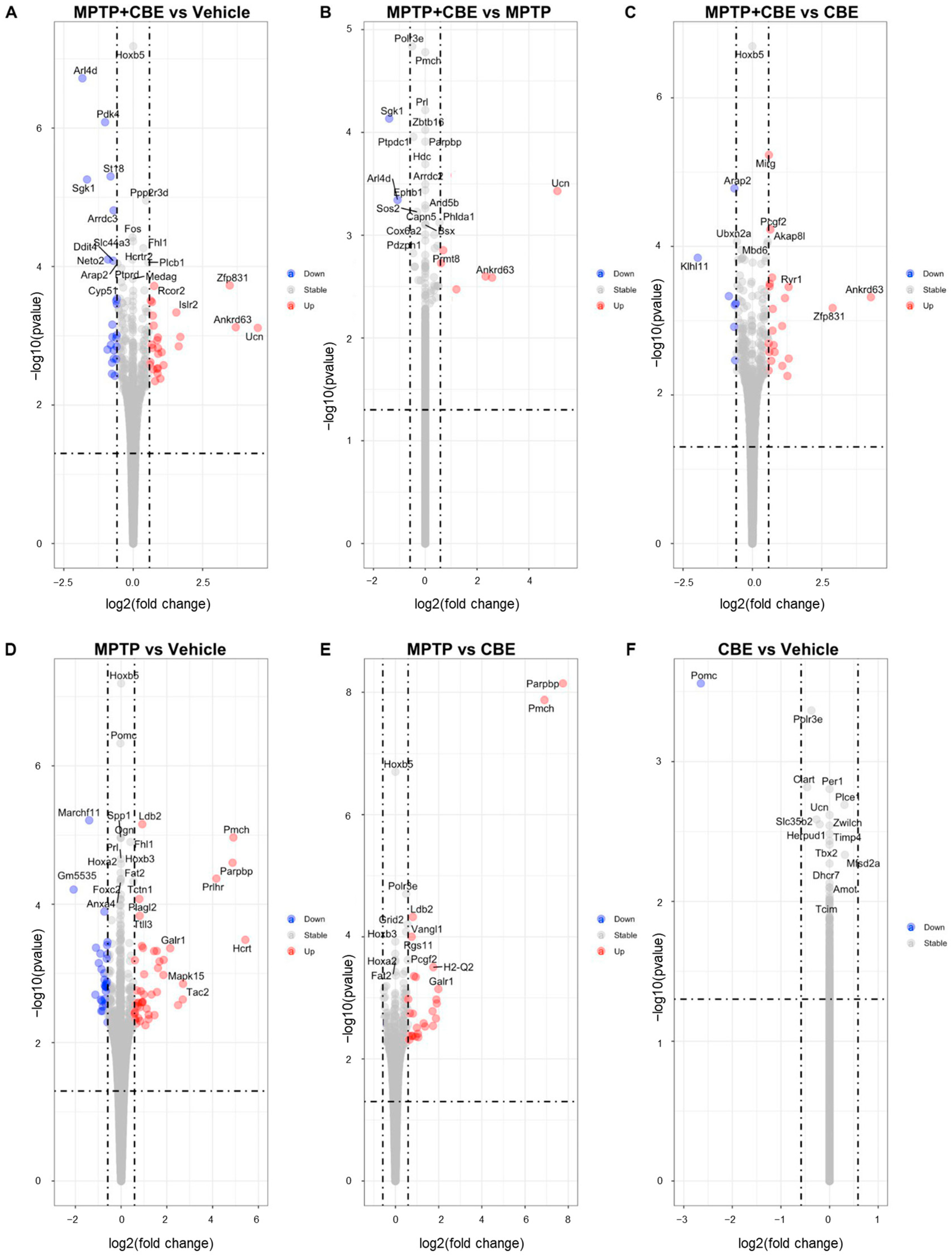 Ijms 24 12164 g001 Ijms 24 12164 g001