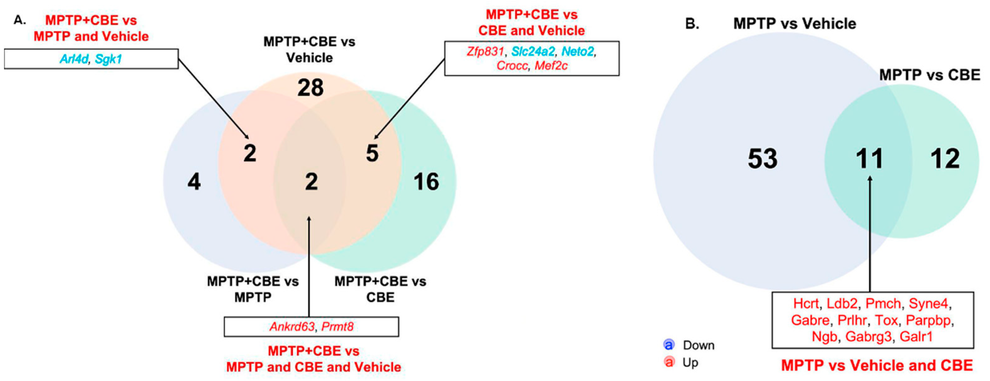 Ijms 24 12164 g002 Ijms 24 12164 g002