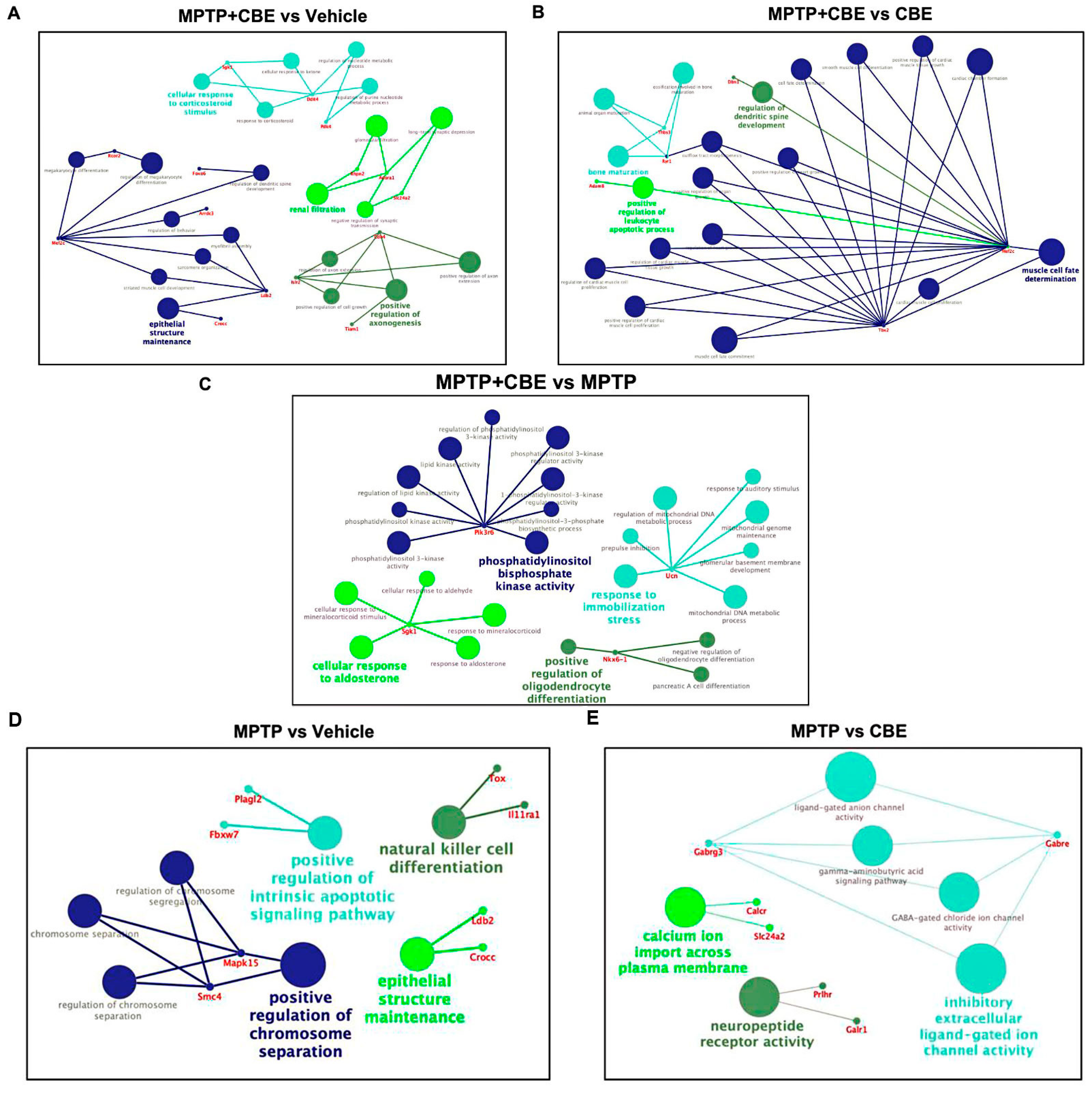 Ijms 24 12164 g004 Ijms 24 12164 g004