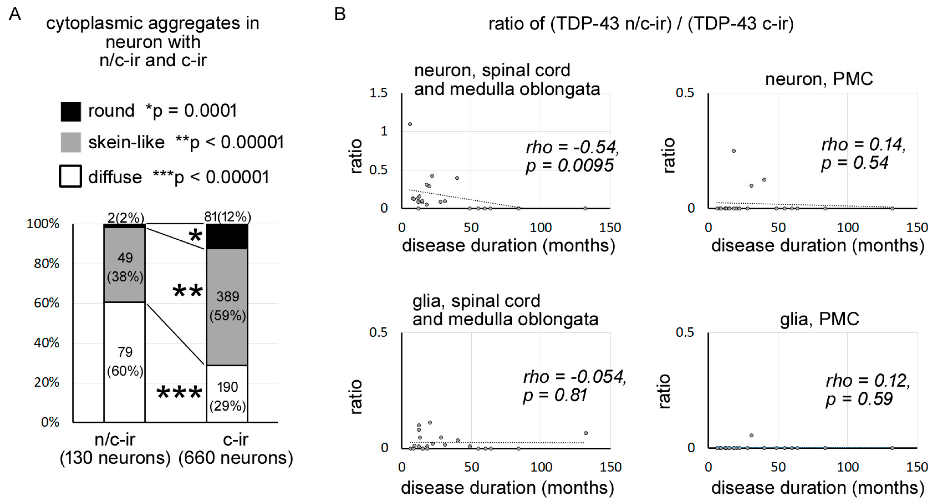 Ijms 24 12176 g002 Ijms 24 12176 g002
