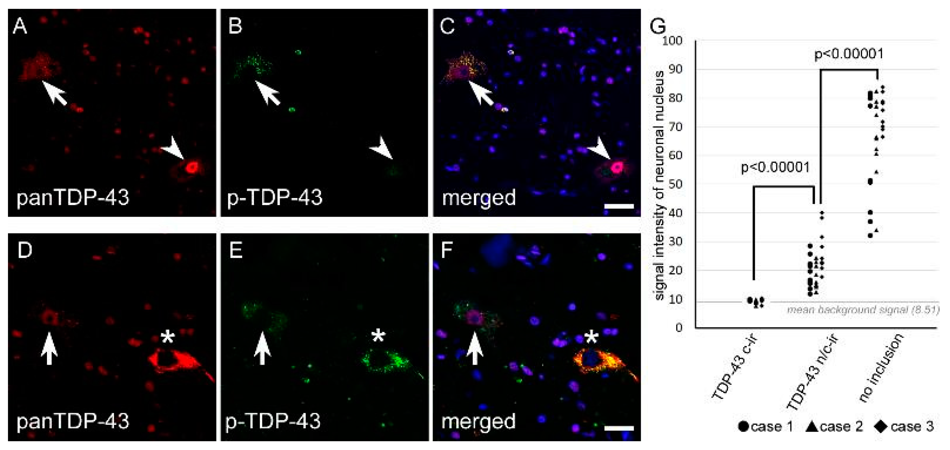 Ijms 24 12176 g004 Ijms 24 12176 g004