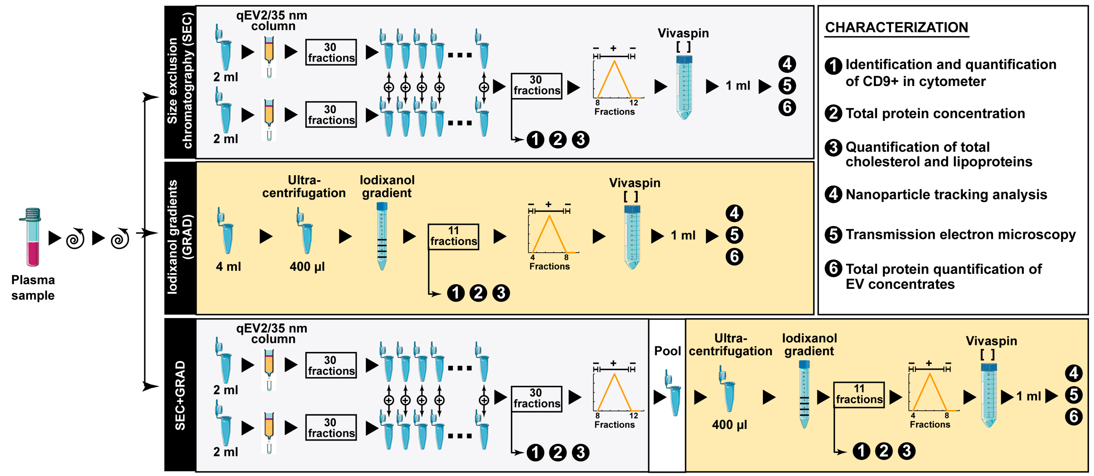 Comparison of Extracellular Vesicle Isolation Methods for miRNA ...