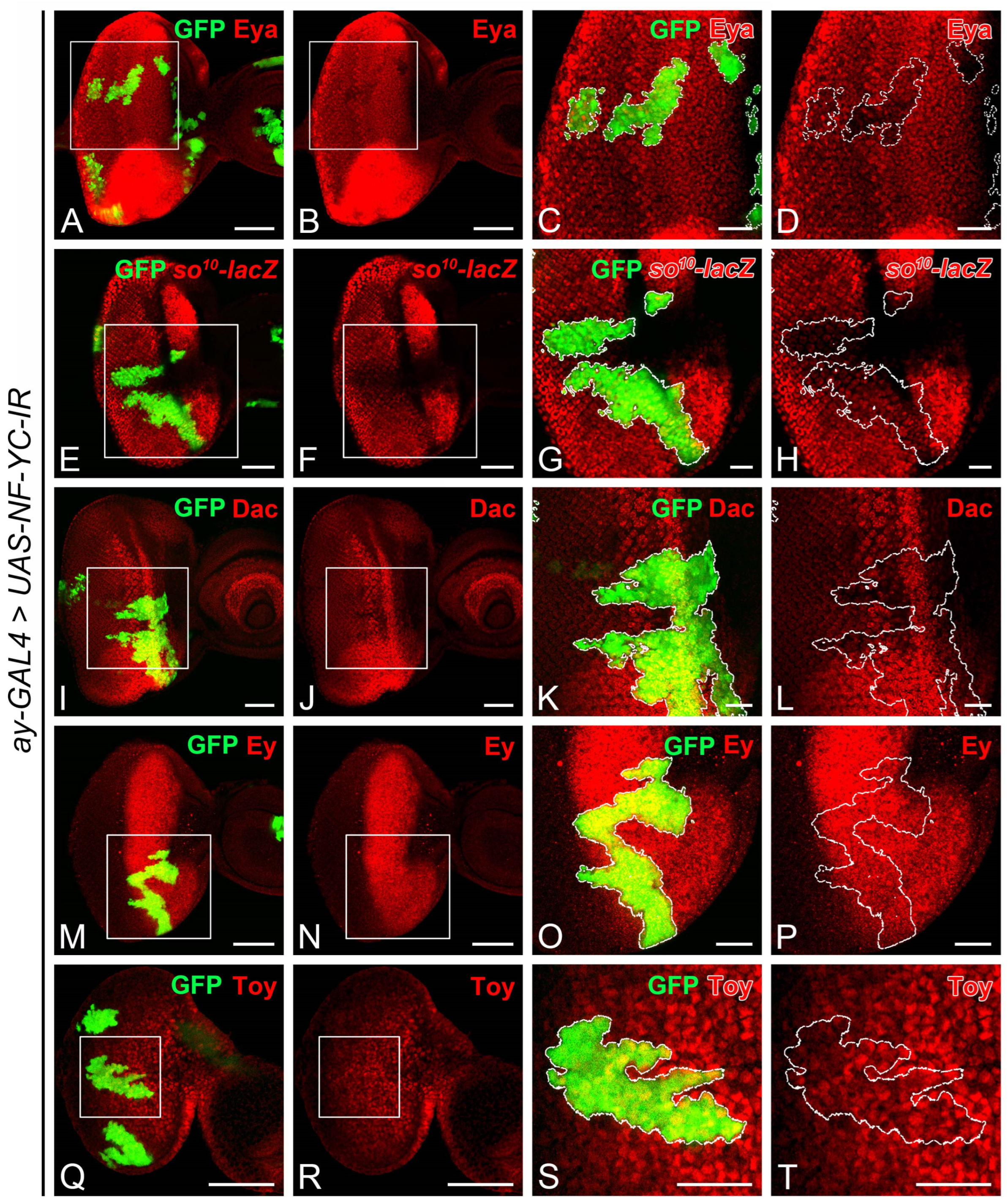 Ijms 24 12203 g005 Ijms 24 12203 g005