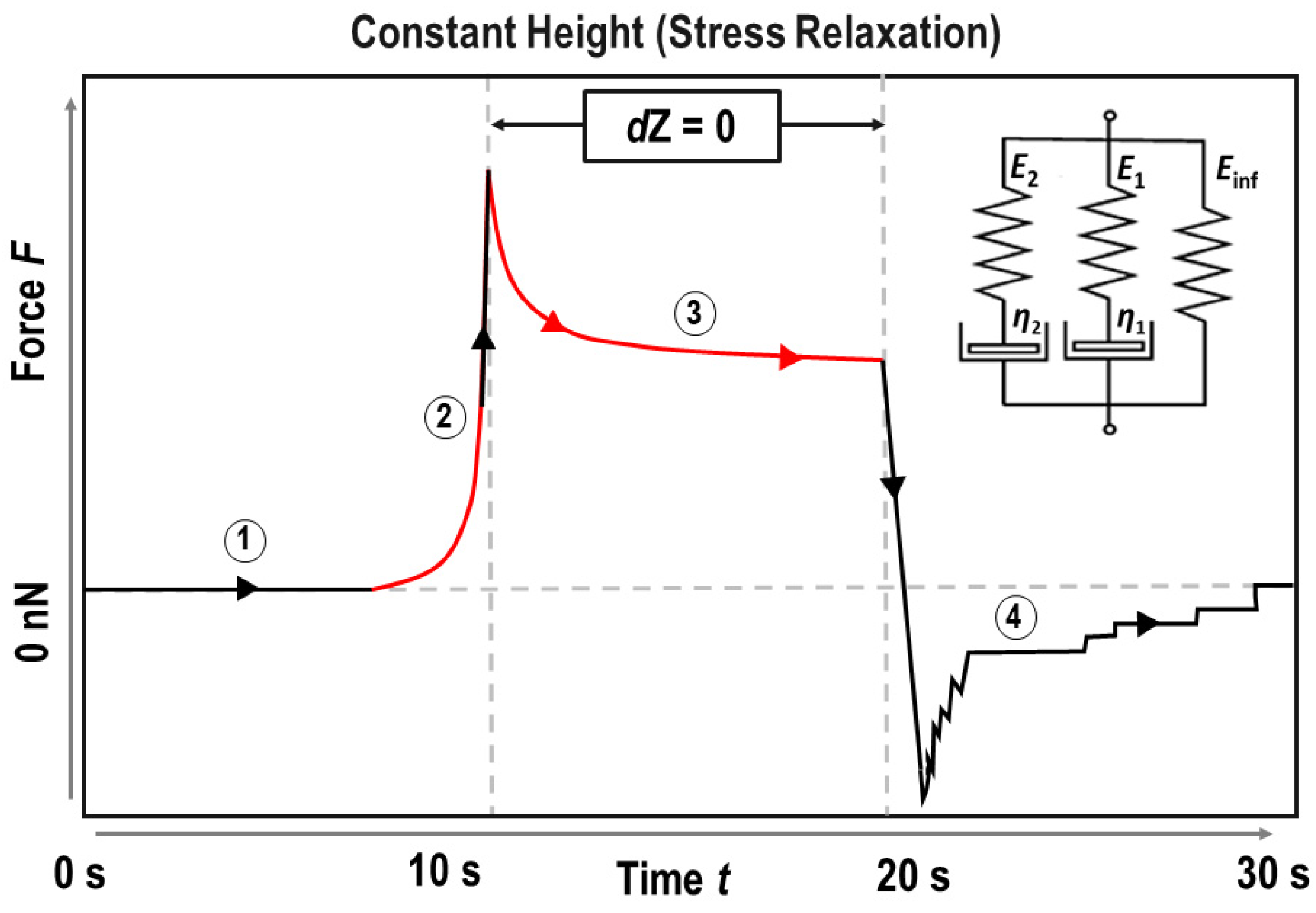 Ijms 24 12208 g005 Ijms 24 12208 g005