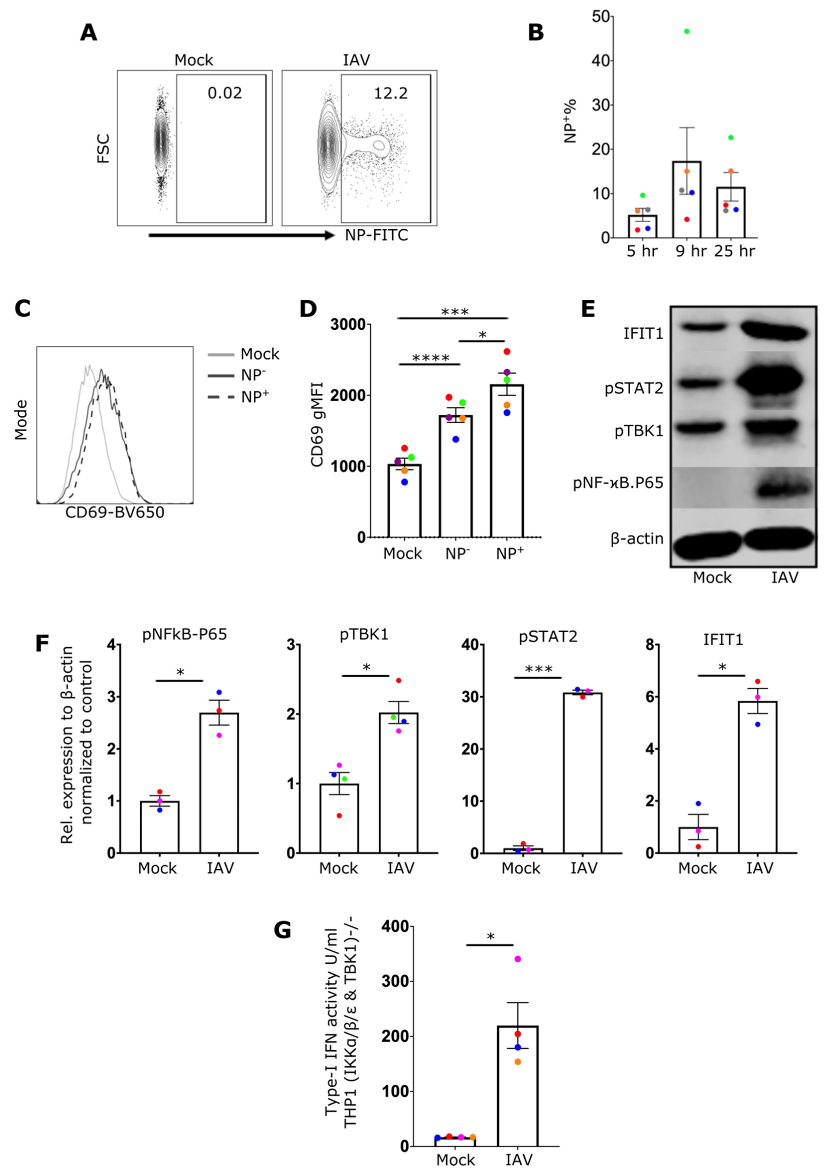 Ijms 24 12220 g001 Ijms 24 12220 g001