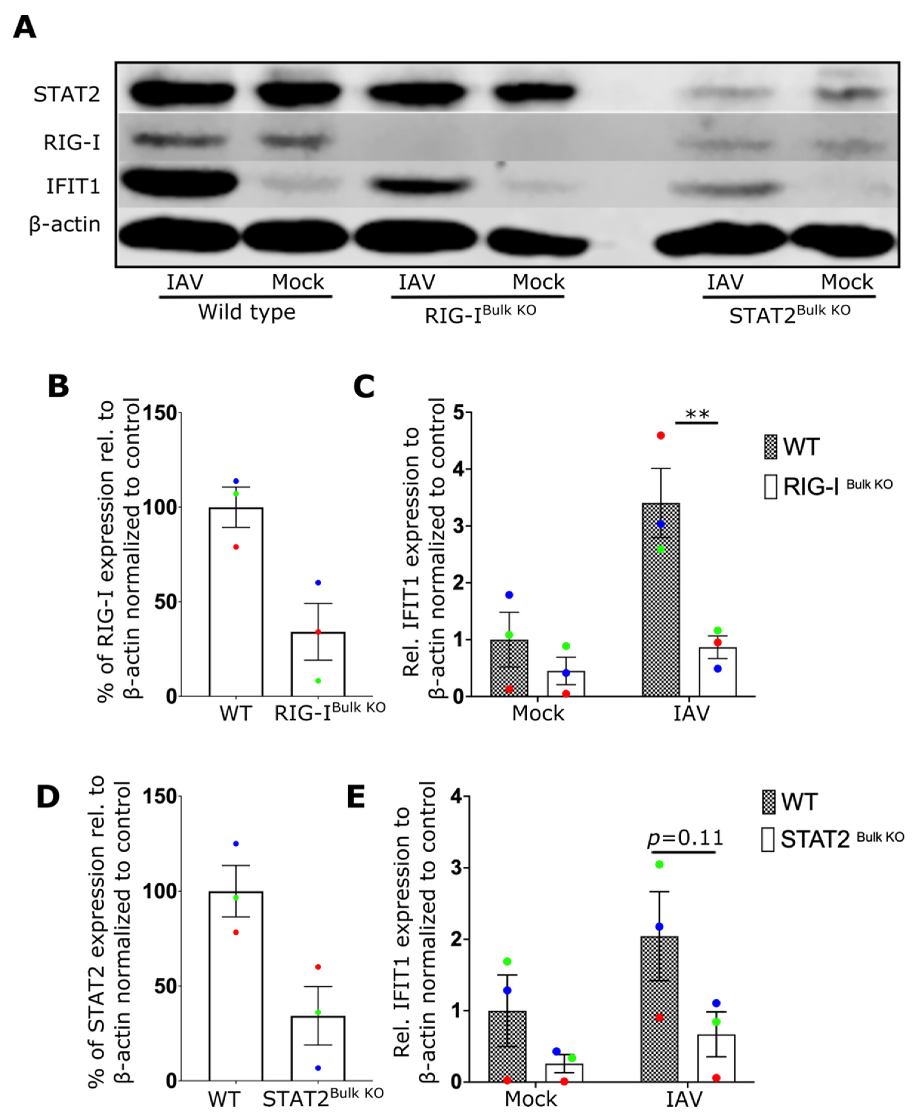 Ijms 24 12220 g002 Ijms 24 12220 g002