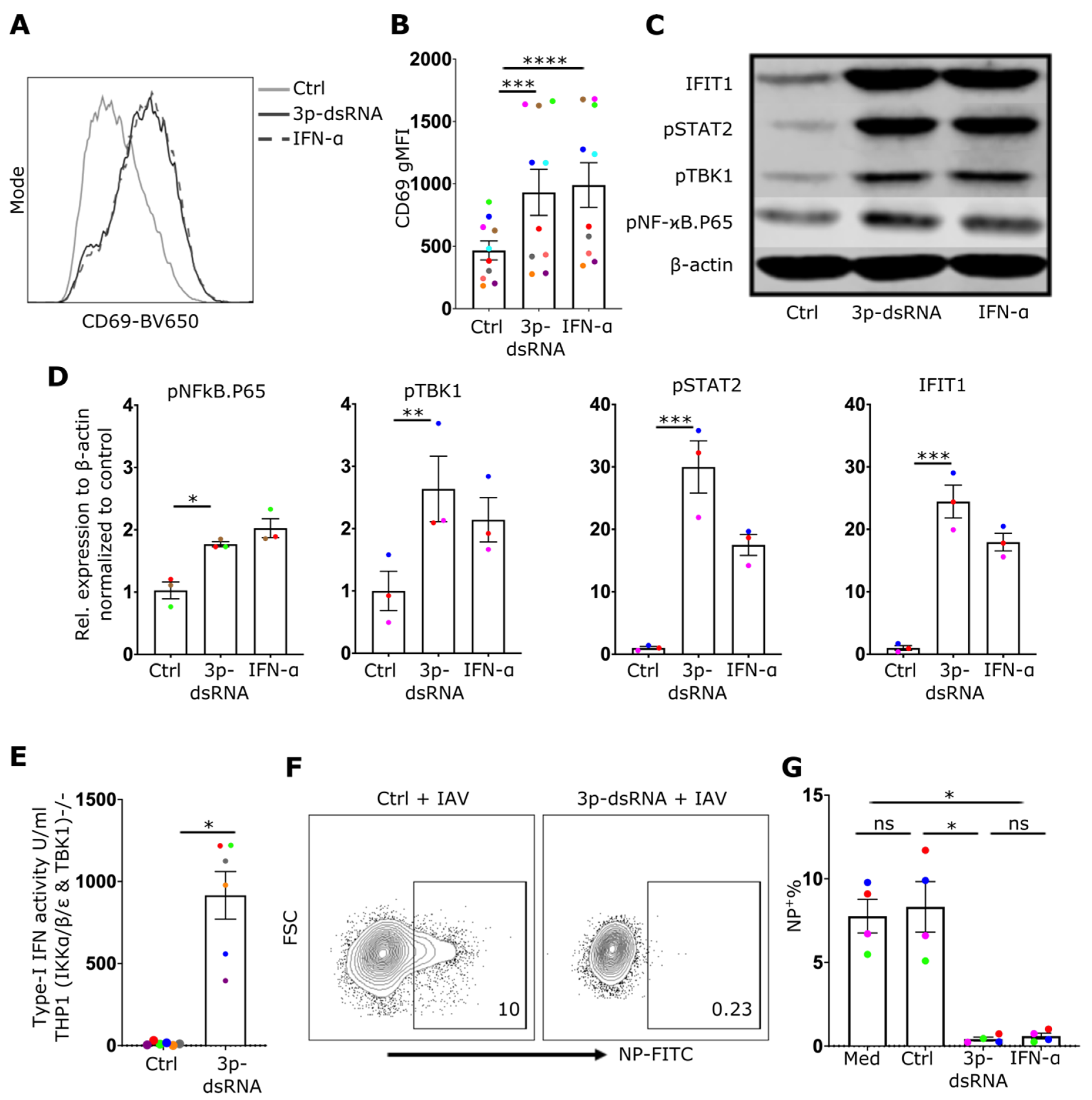 Ijms 24 12220 g004 Ijms 24 12220 g004