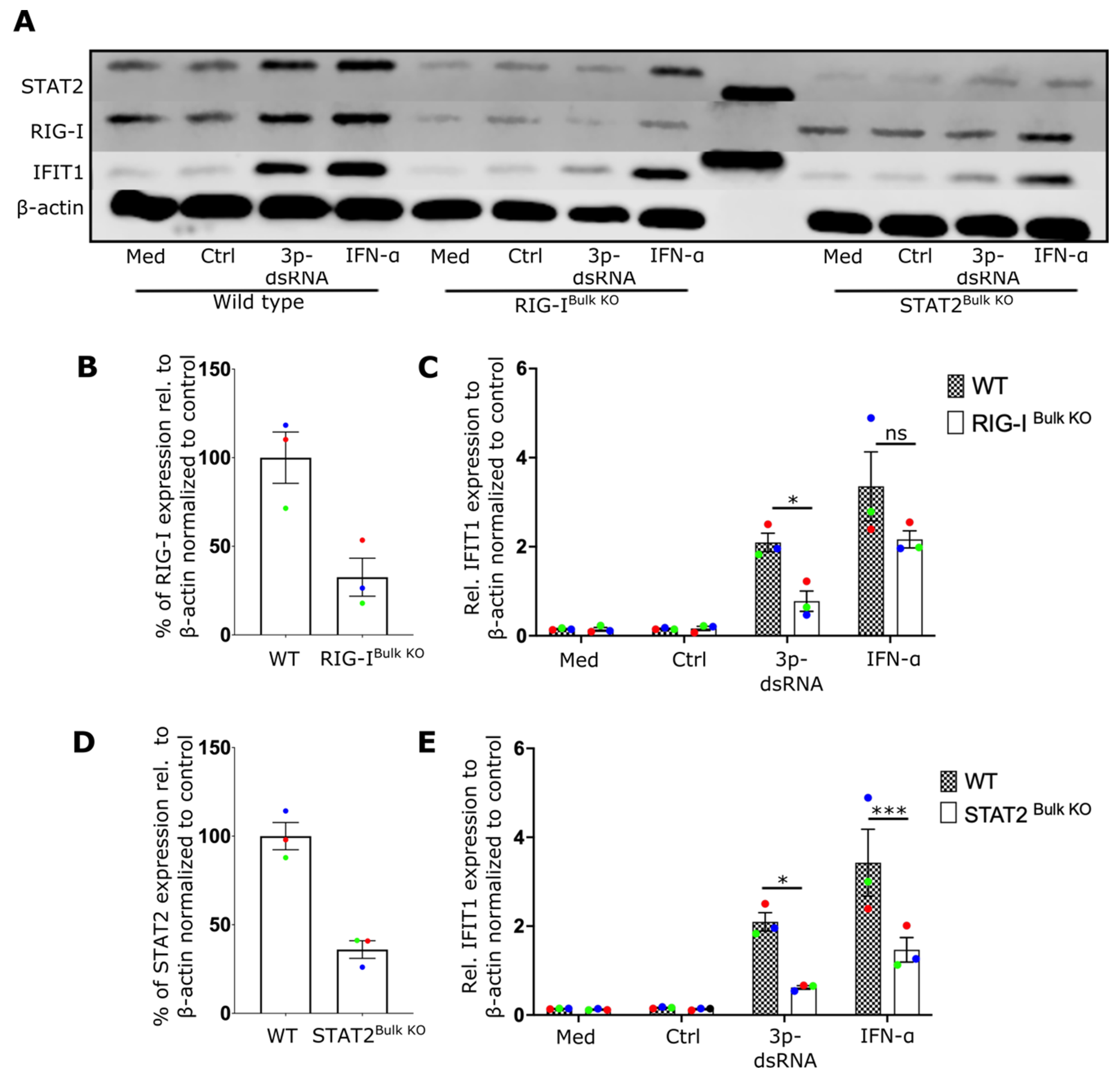 Ijms 24 12220 g005 Ijms 24 12220 g005